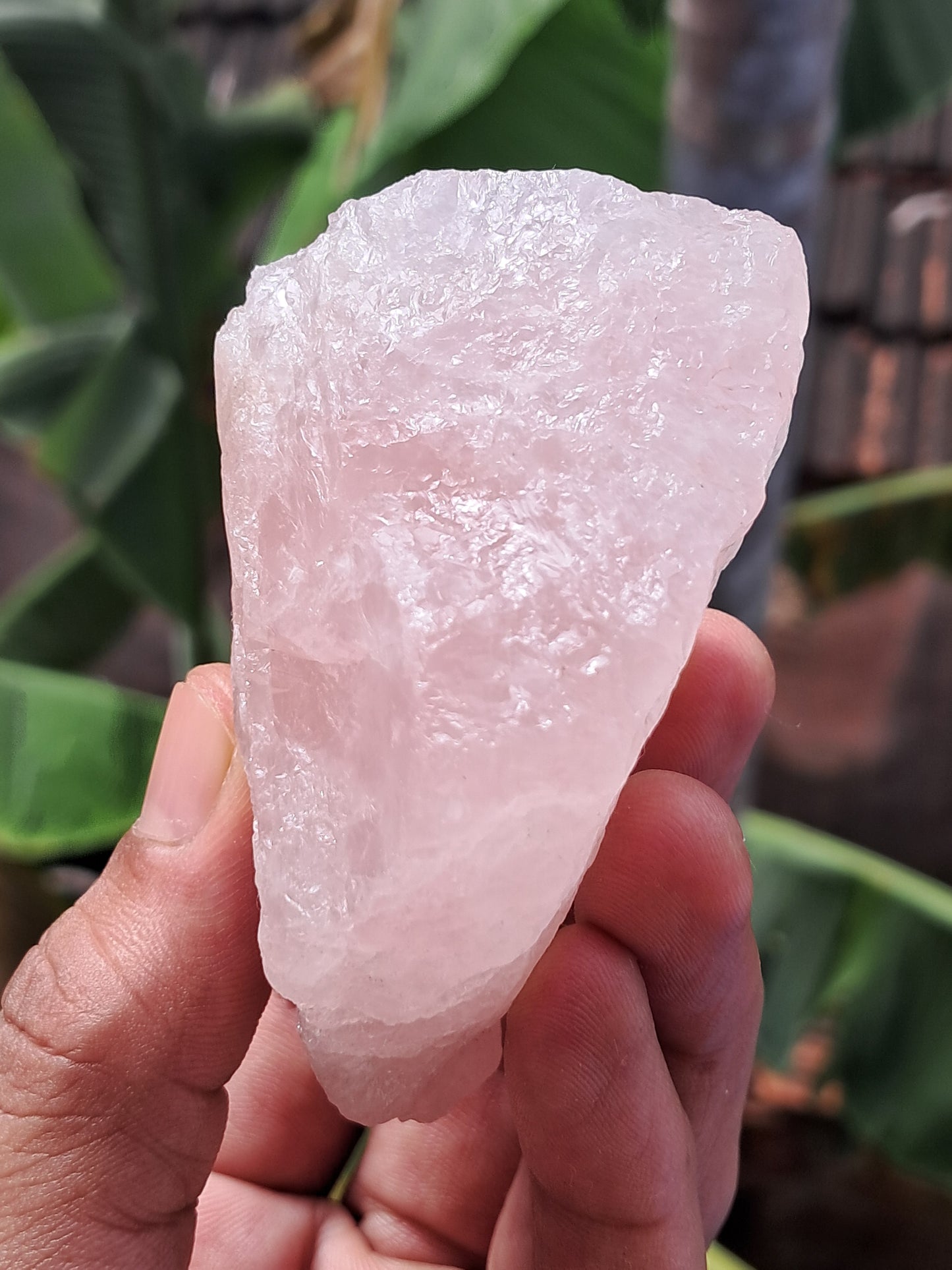 Rose Quartz (Rajasthan) Rough Stone | Natural Gemstone #RQ8