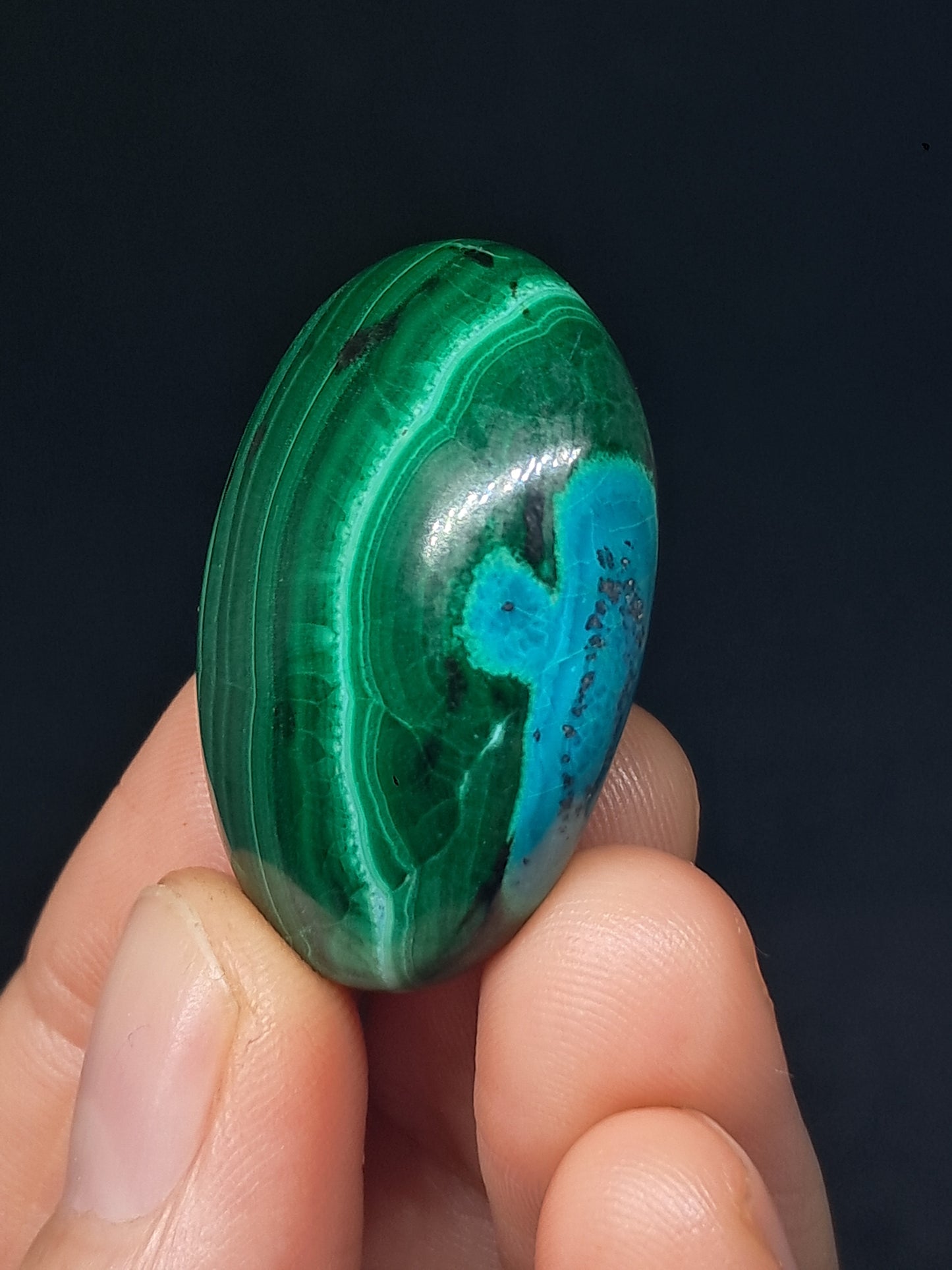Chrysocolla w/ Malachite Palmstone | Good Quality Natural Stone