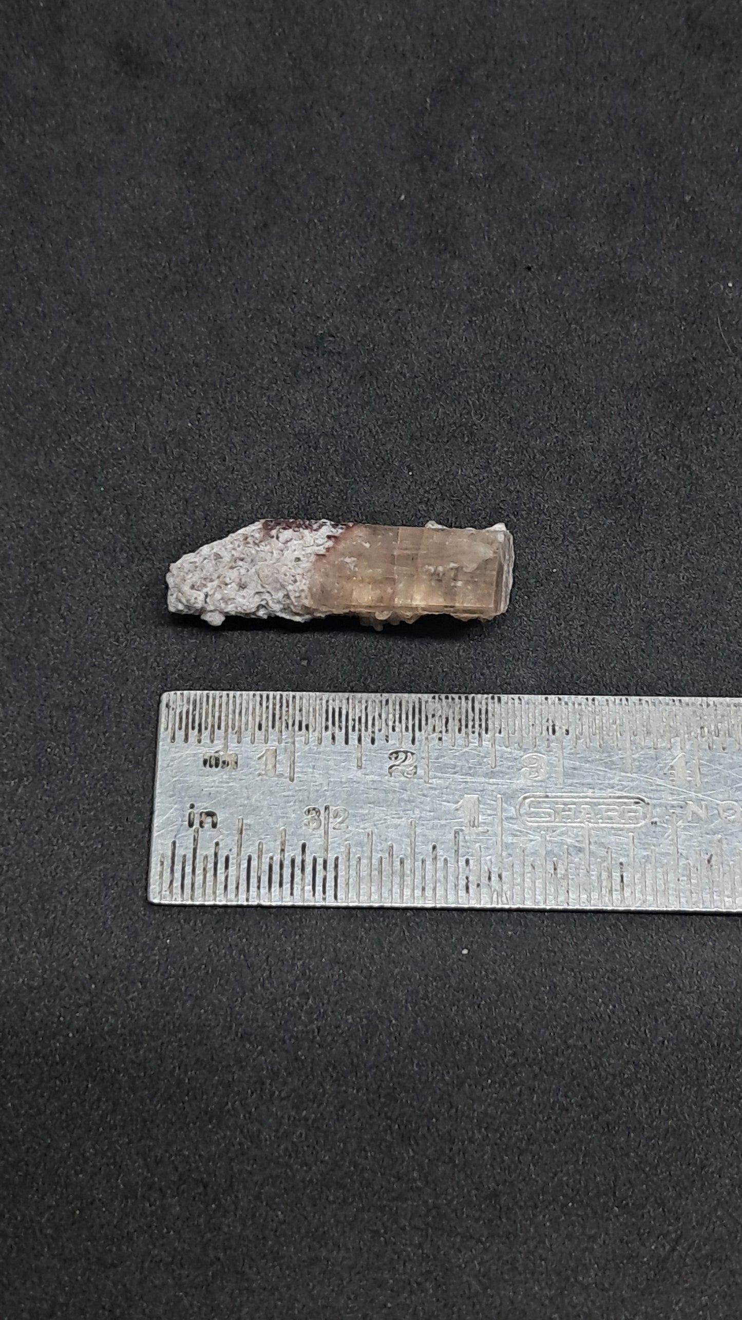 Natural Topaz Crystal (Mexico) Rare Gemstone | Mineral Specimen #TPZ44