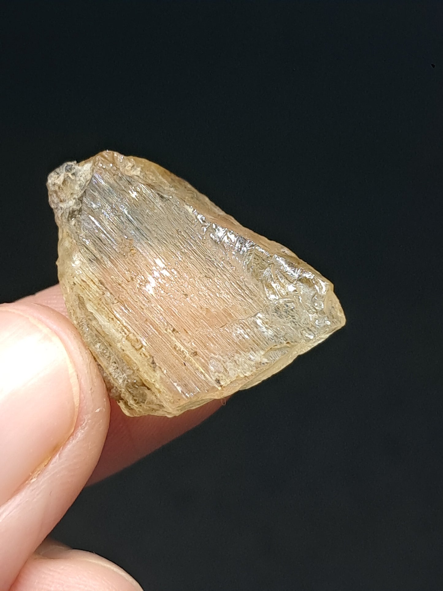 Fluorescent Scapolite Crystal (Karur) UV Reactive | Rough Stone | Natural Mineral Specimen #SCP18