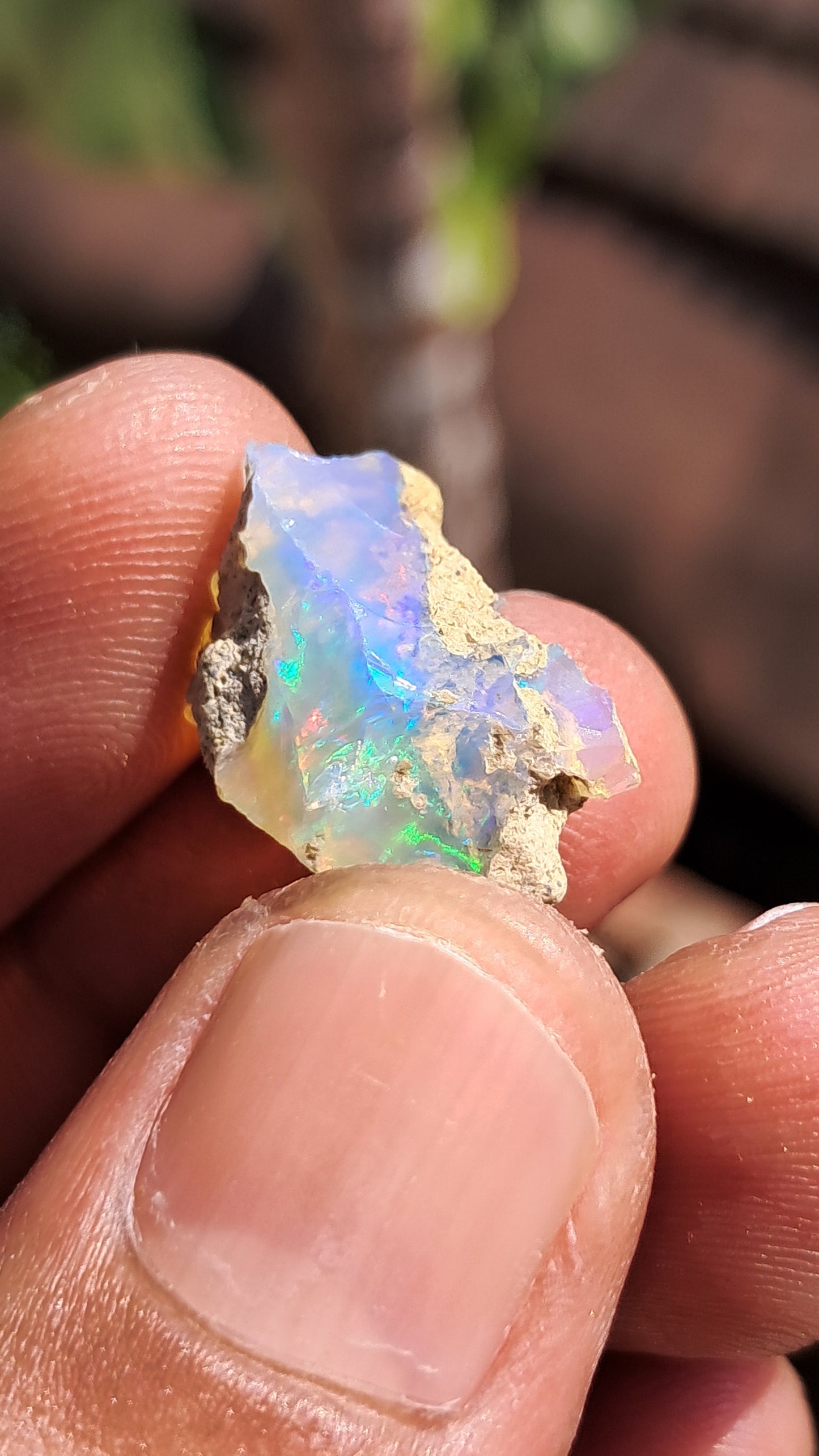 Natural Ethiopian Opal Rough | White Hydrophane Opal w/ Bright Play of Color #OP1