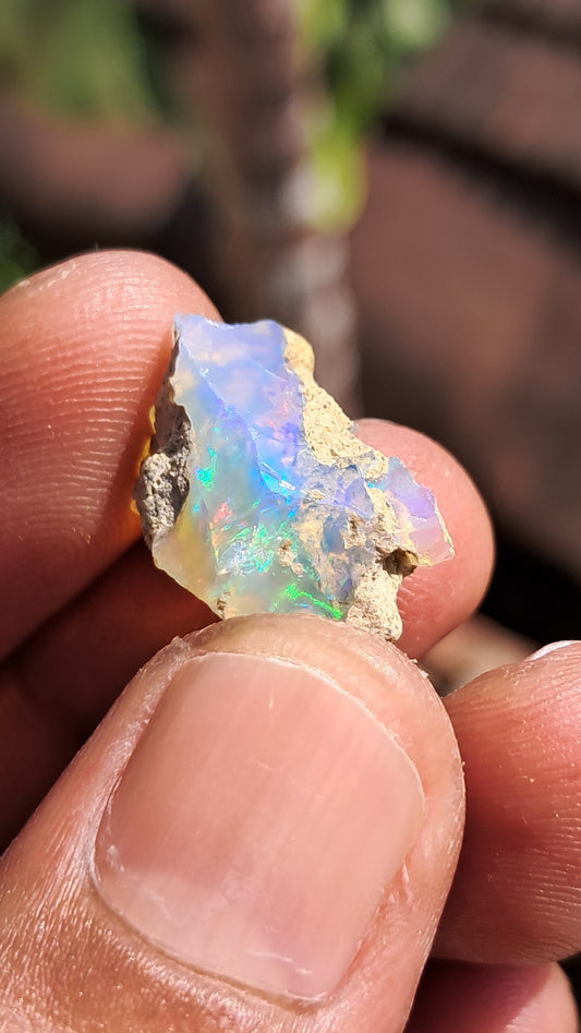 Natural Ethiopian Opal Rough | White Hydrophane Opal w/ Bright Play of Color #OP1