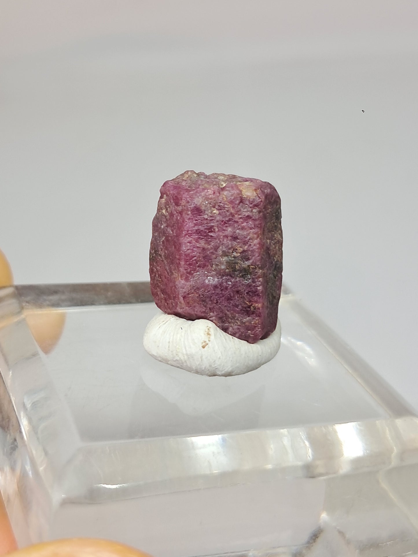 Cristal de Rubí en Bruto (Tamil Nadu) Piedra Natural | Muestra Mineral #RB32