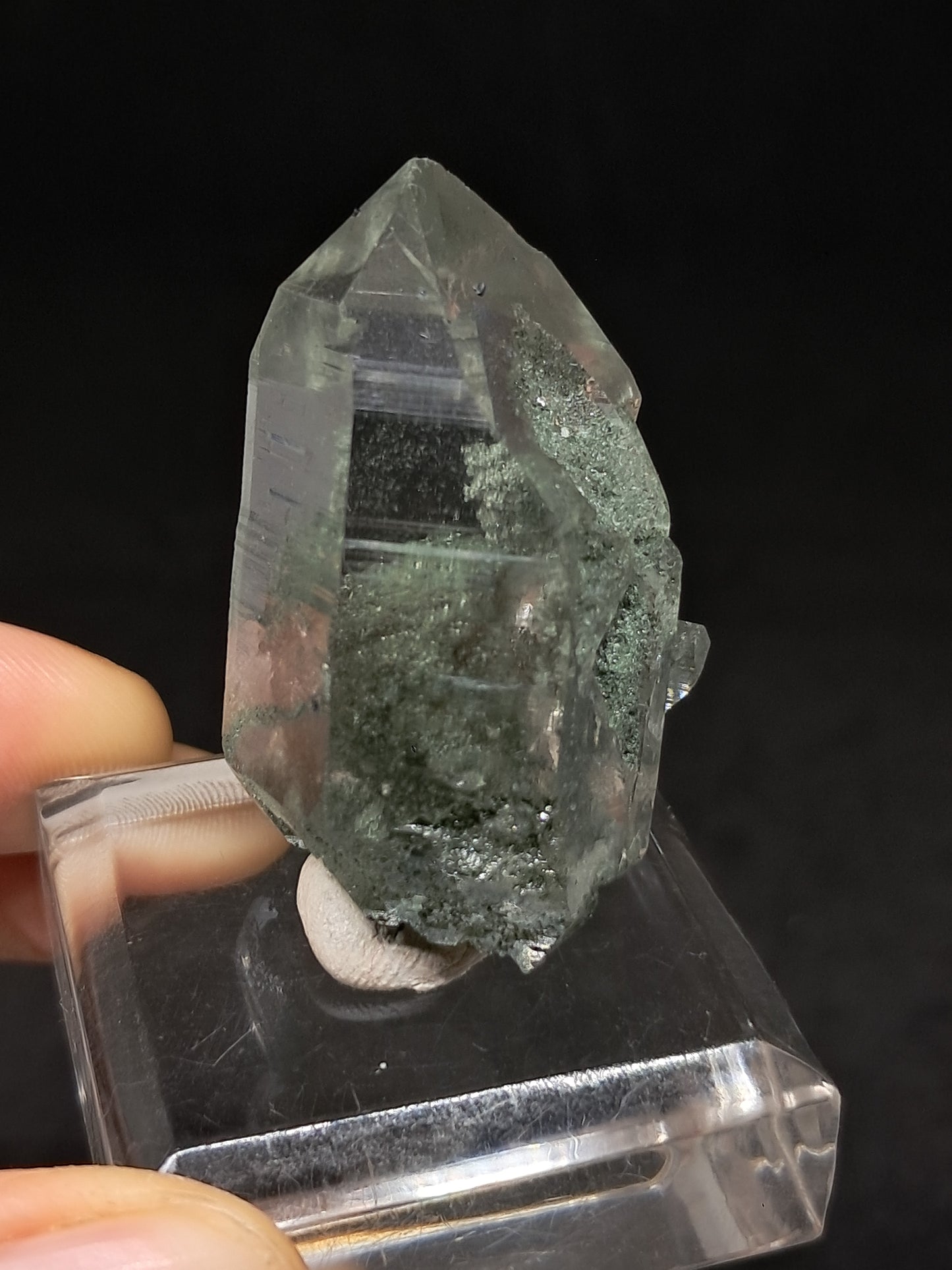 Chlorite Phantom Quartz (Kullu) Natural Crystal | Garden Chamanic #CQ82