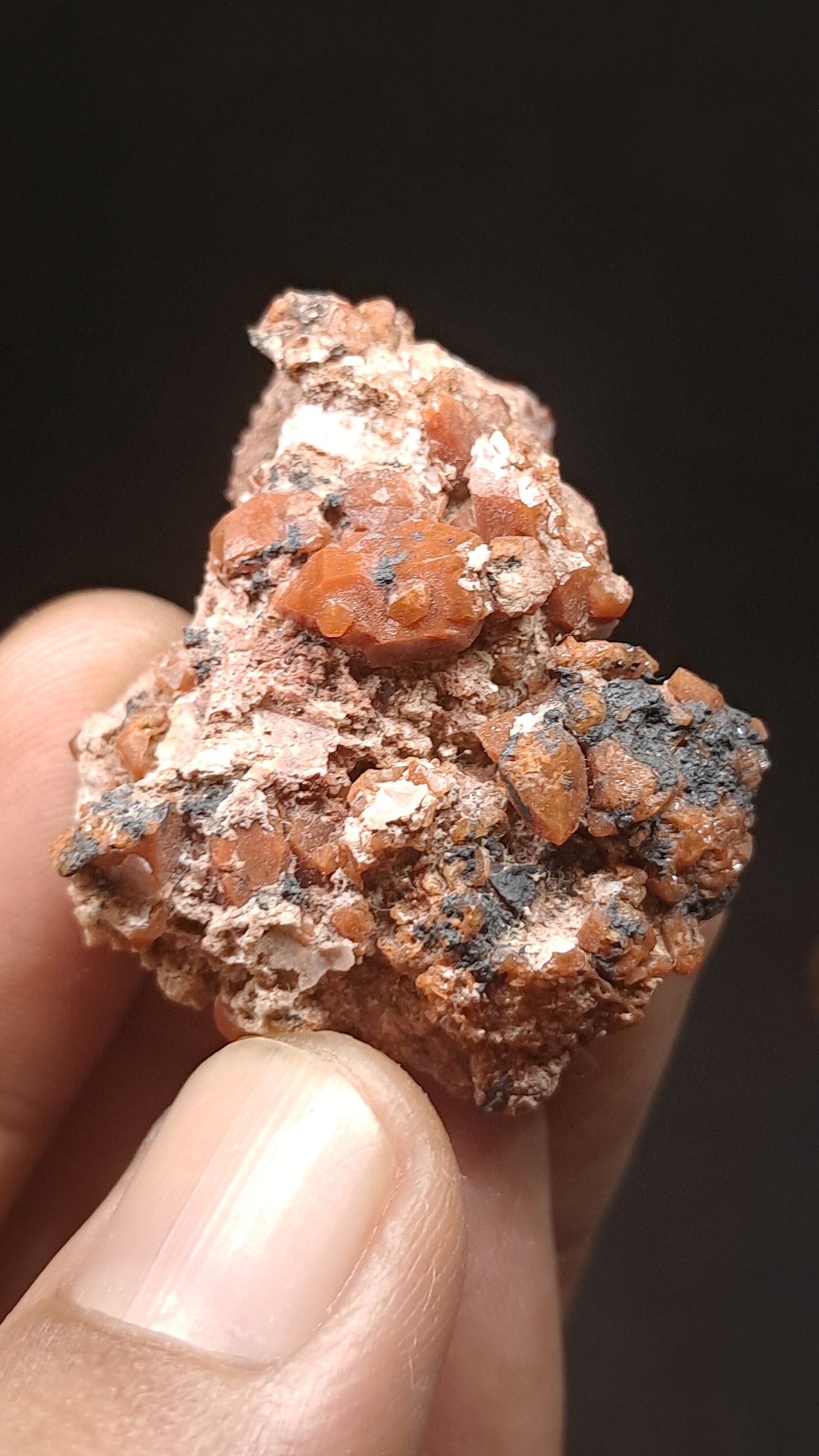 Jacinto de Compostela Quartz Cluster On Matrix | Natural Crystal | Mineral Specimen #JCQ7