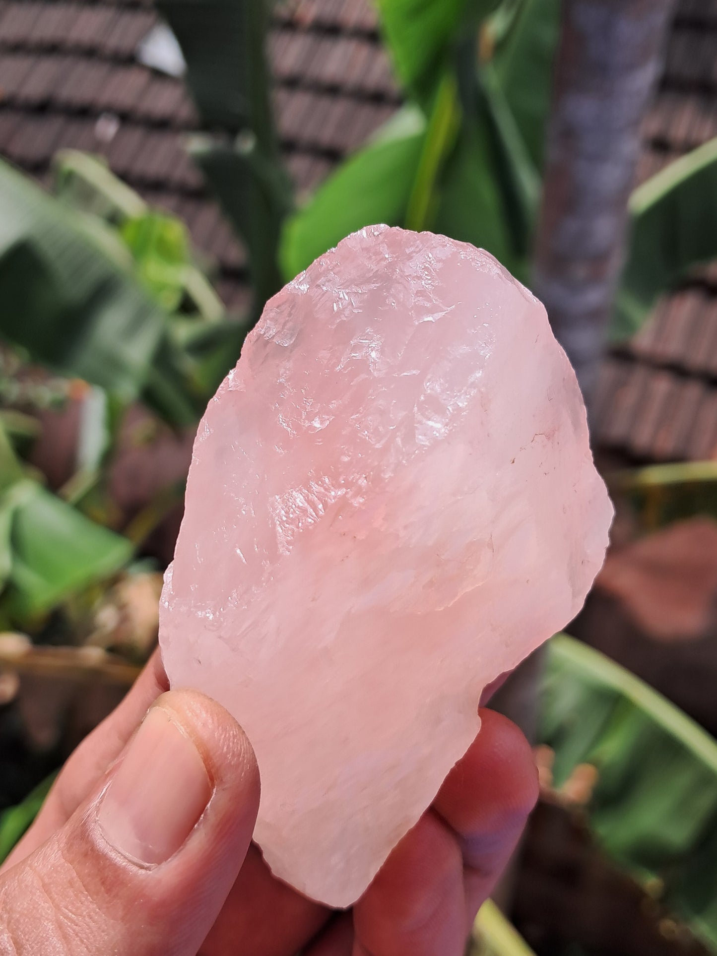 Rose Quartz (Rajasthan) Rough Stone | Natural Gemstone #RQ10