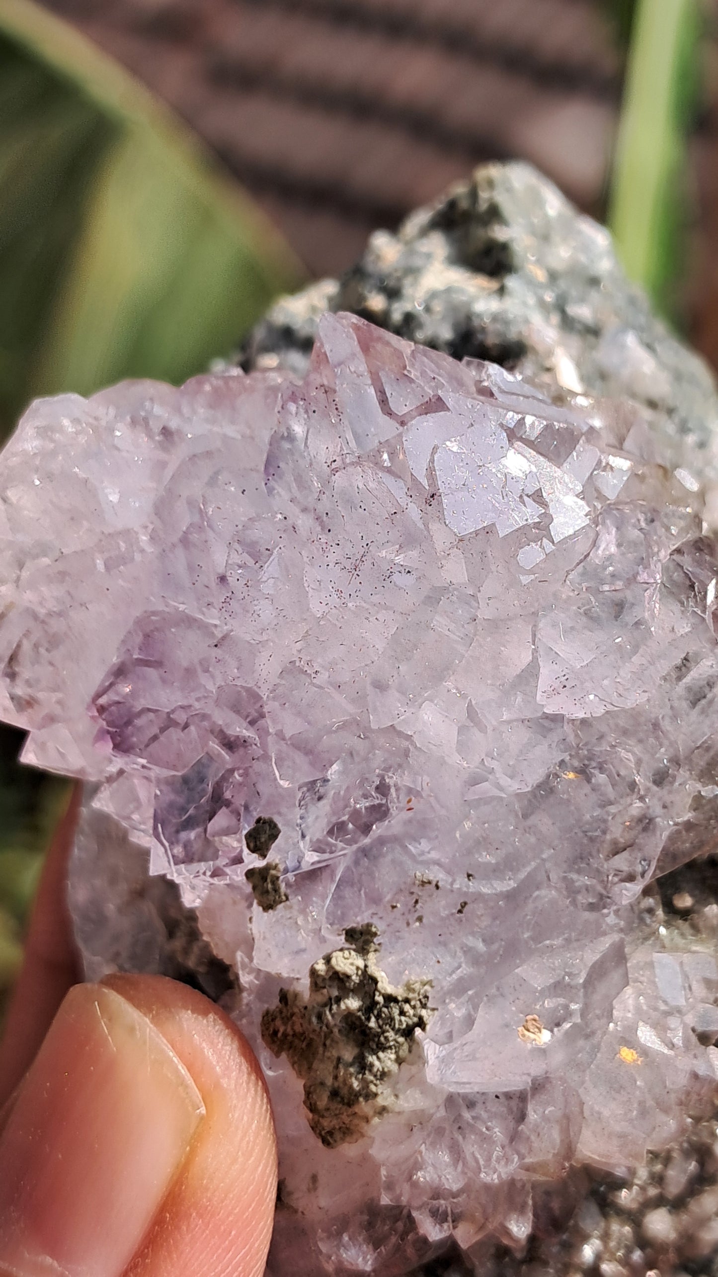 Karur Amethyst Scepter Flower w/ UV-Reactive Calcites on Matrix | Natural Formation| Super Seven Inclusions| Mineral Specimen #KA181