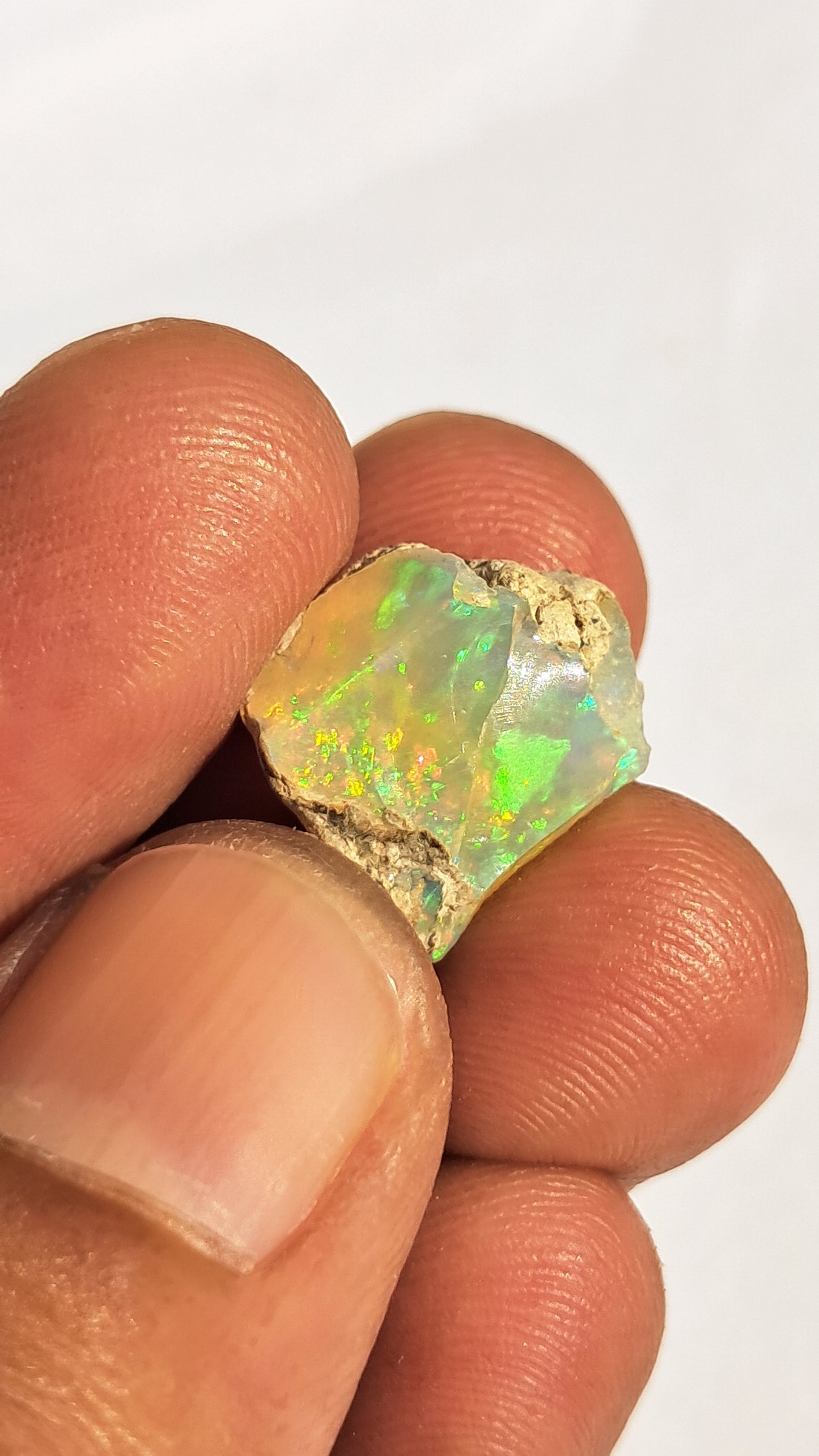 Natural Ethiopian Opal Rough | White Hydrophane Opal with Bright Play of Color #OP13
