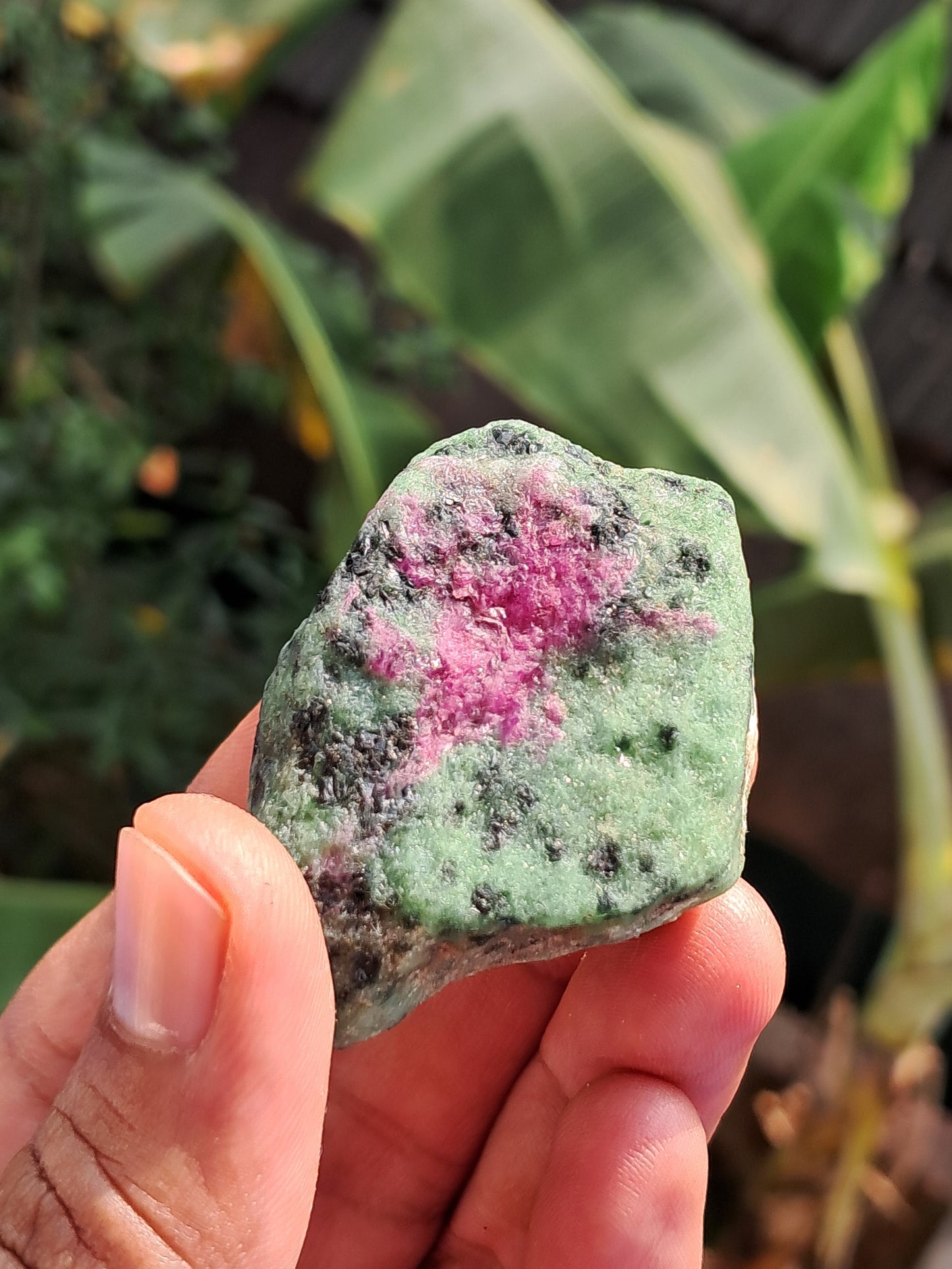 Ruby Zoisite w/ Hornblende (Tanzania) Rough Stone | Natural Specimen #RZ9
