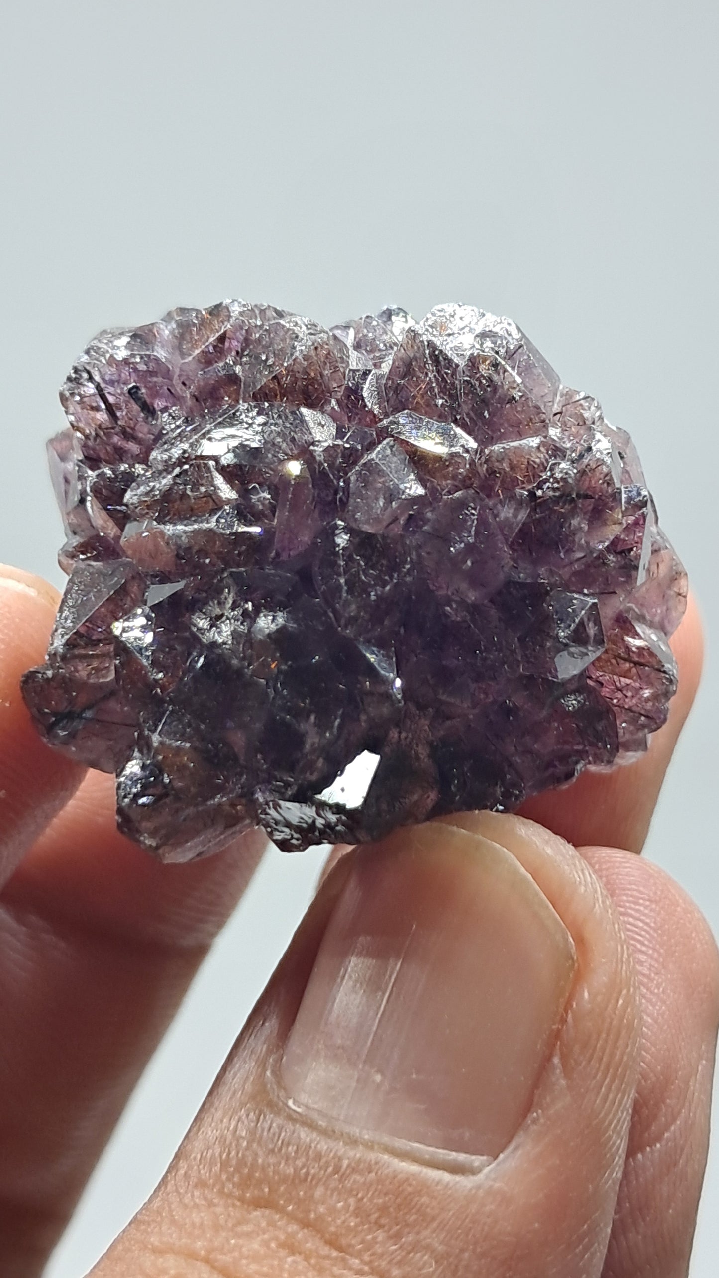 Amatista Elestial Morada Oscura sobre Cuarzo | Inclusiones de Hematita Goethita Rutilo | Cristal Natural | Muestra Mineral #KA194