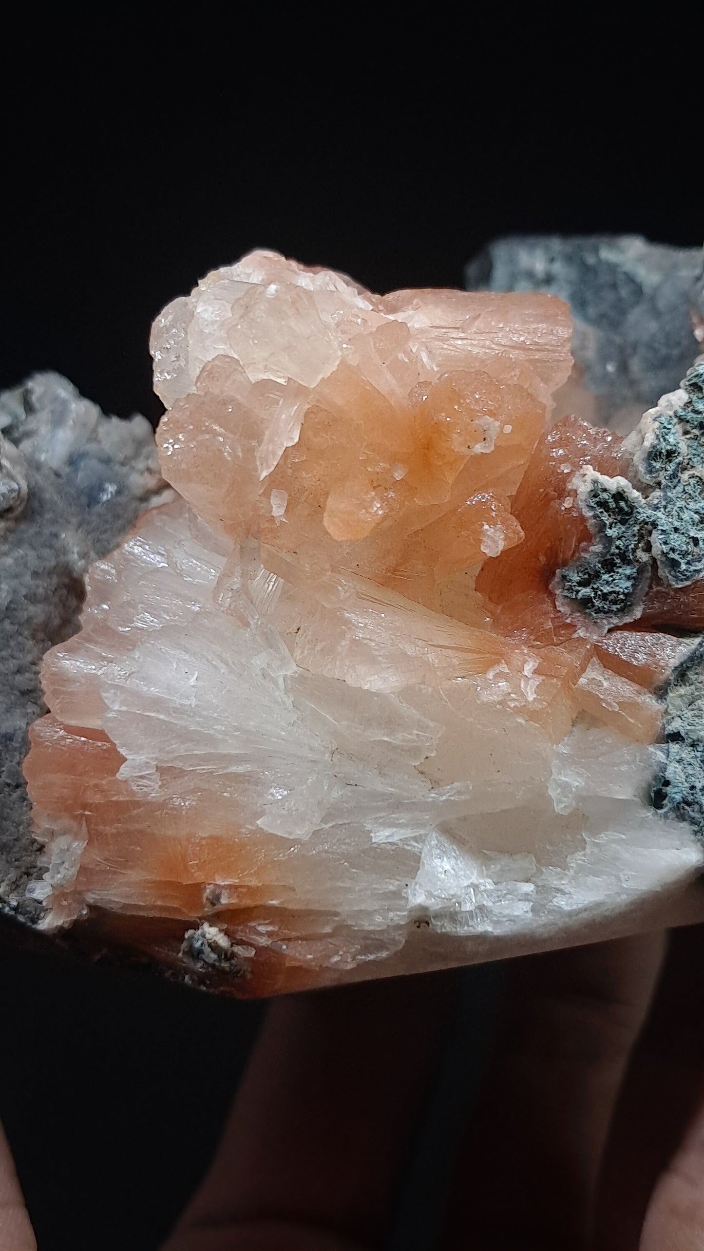 Peach Stilbite-Ca In Basalt (Ajanta) | Large Bow, Fan & Sheaf Crystal Aggregates | Self-standing #ZL29