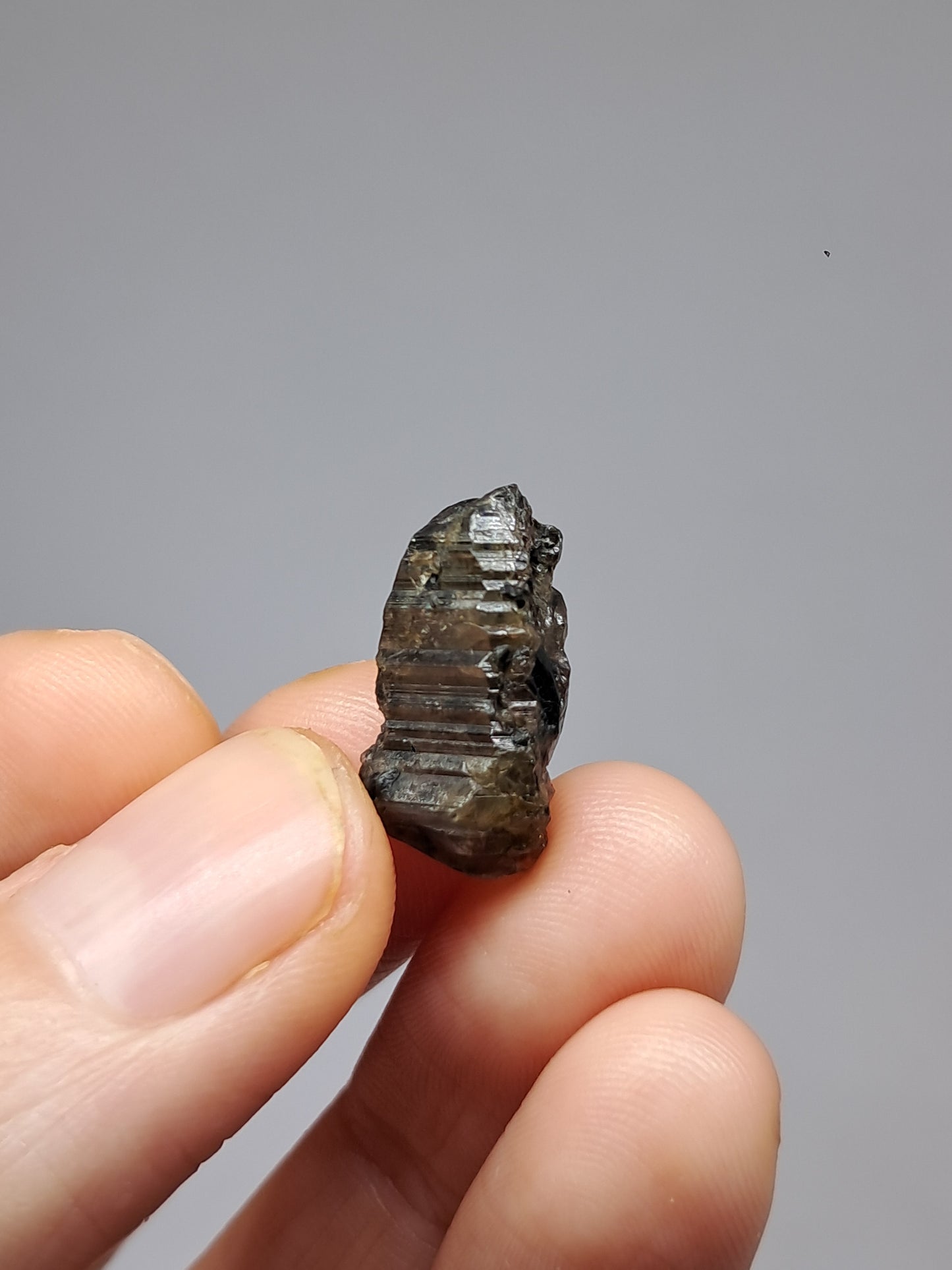 Natural Green Sapphire Crystal (Karur) Rough Stone | Mineral Specimen #SP32