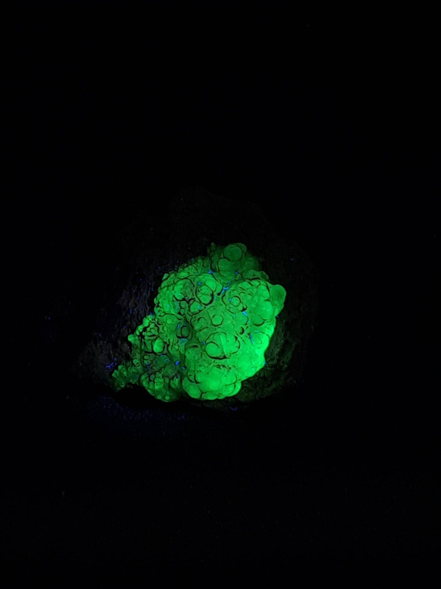 Hyalite Opal on Matrix (Mexico) Rough Crystal Stone | UV-Reactive Mineral Specimen #OH20