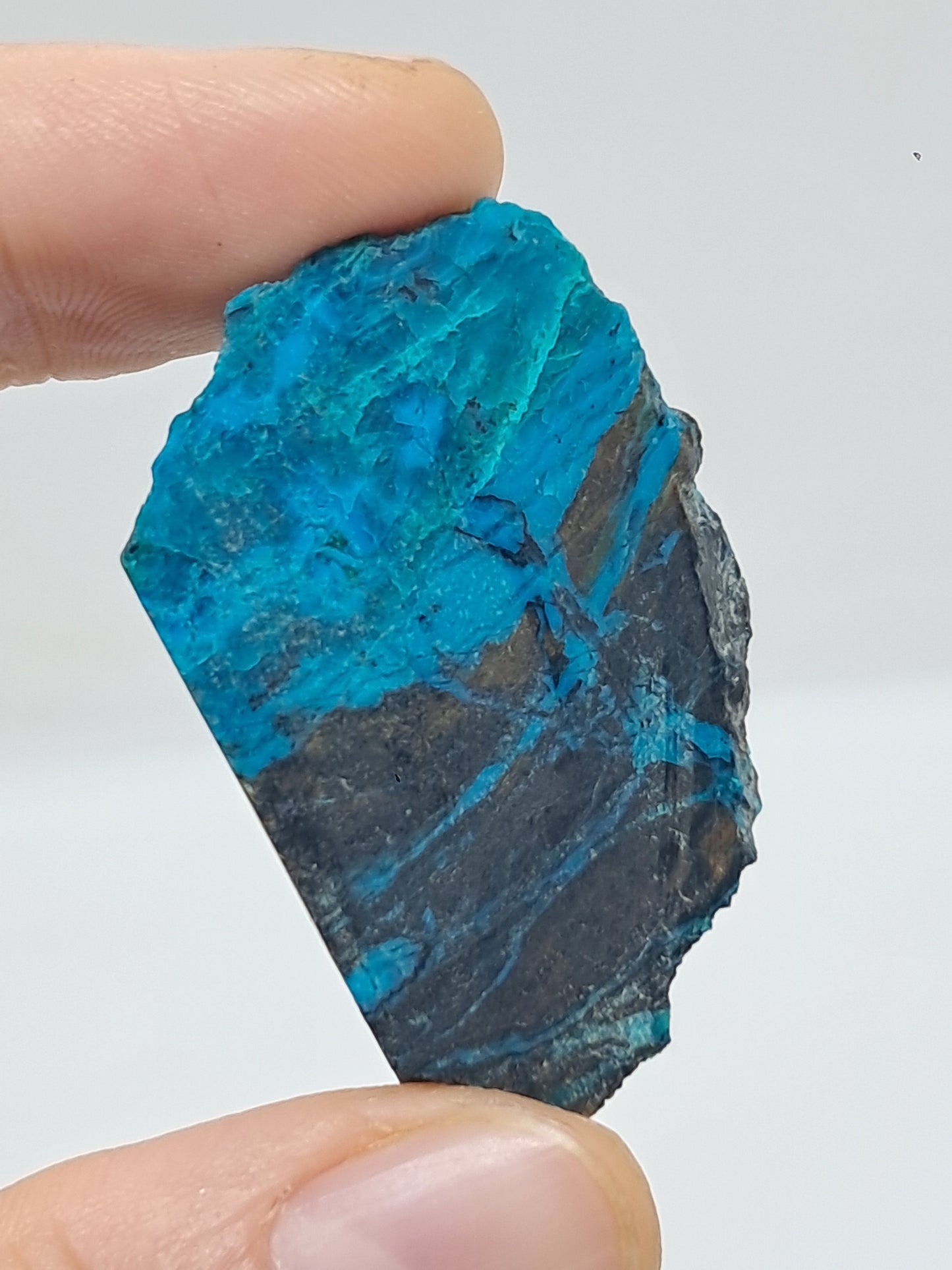 Blue Opal from Chile (Atacama) *New Find*| Rough Natural Stone | Rare Mineral Specimen #CBO3