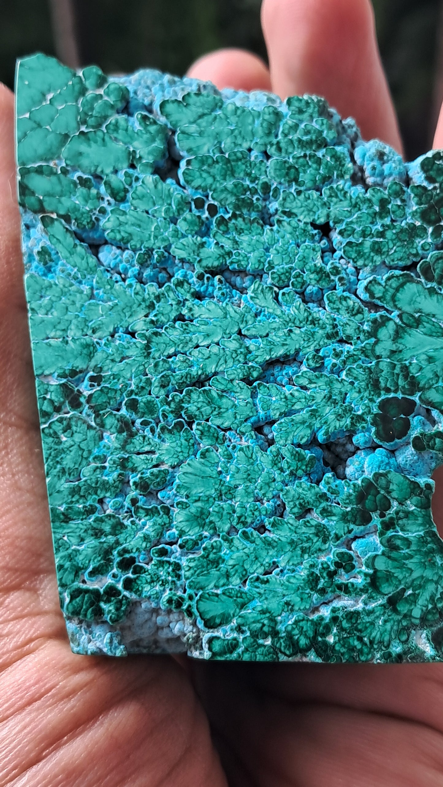 Malachite w/ Chrysocolla | Half Polished Half Rough | Natural Stone | Large Size | Beautiful Patterns #CM27