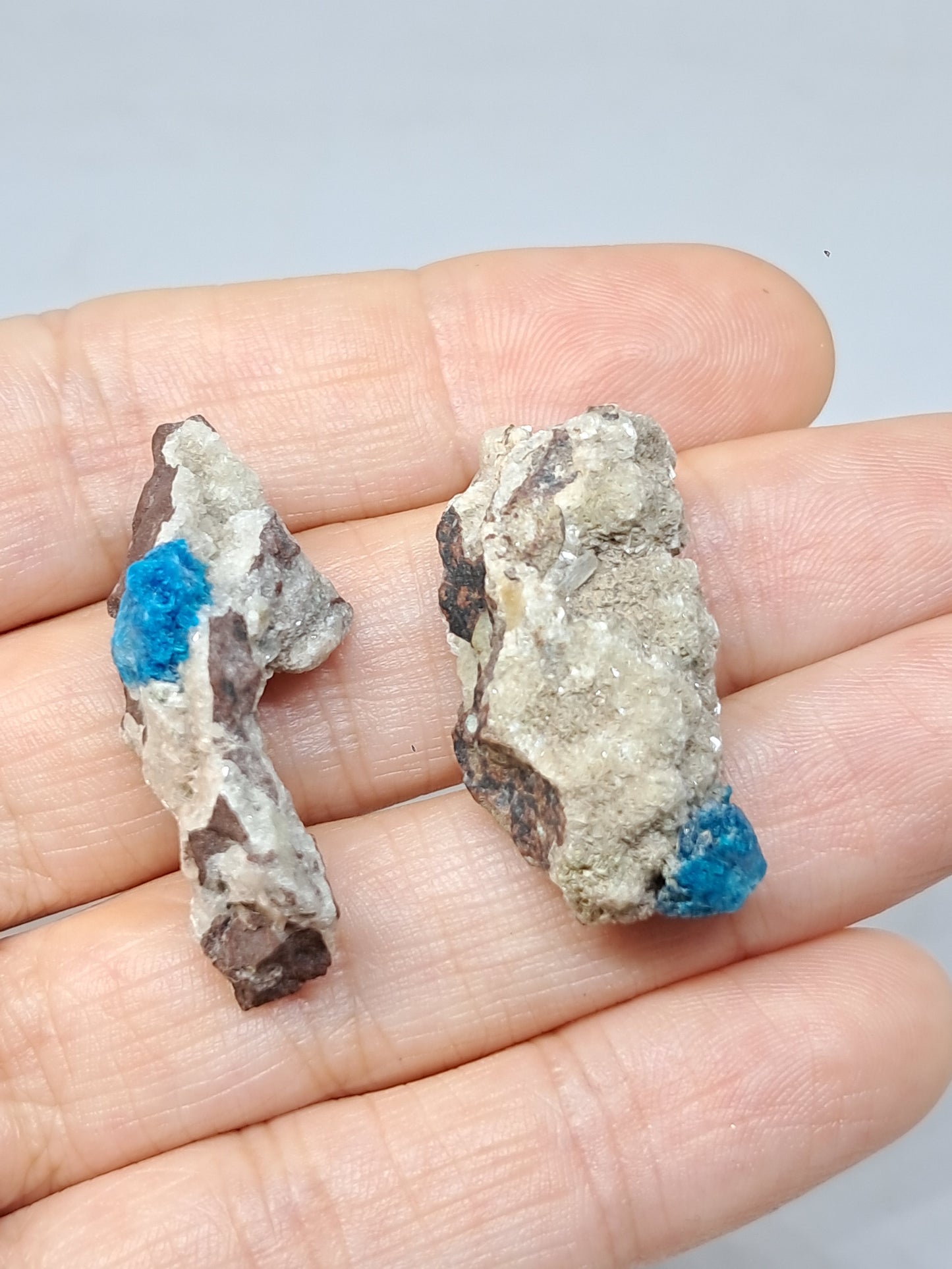 Set of Cavansite & Pentagonite on Matrix (Wagholi) Rough Stone | Natural Crystal | Rare Mineral Specimen #CV42