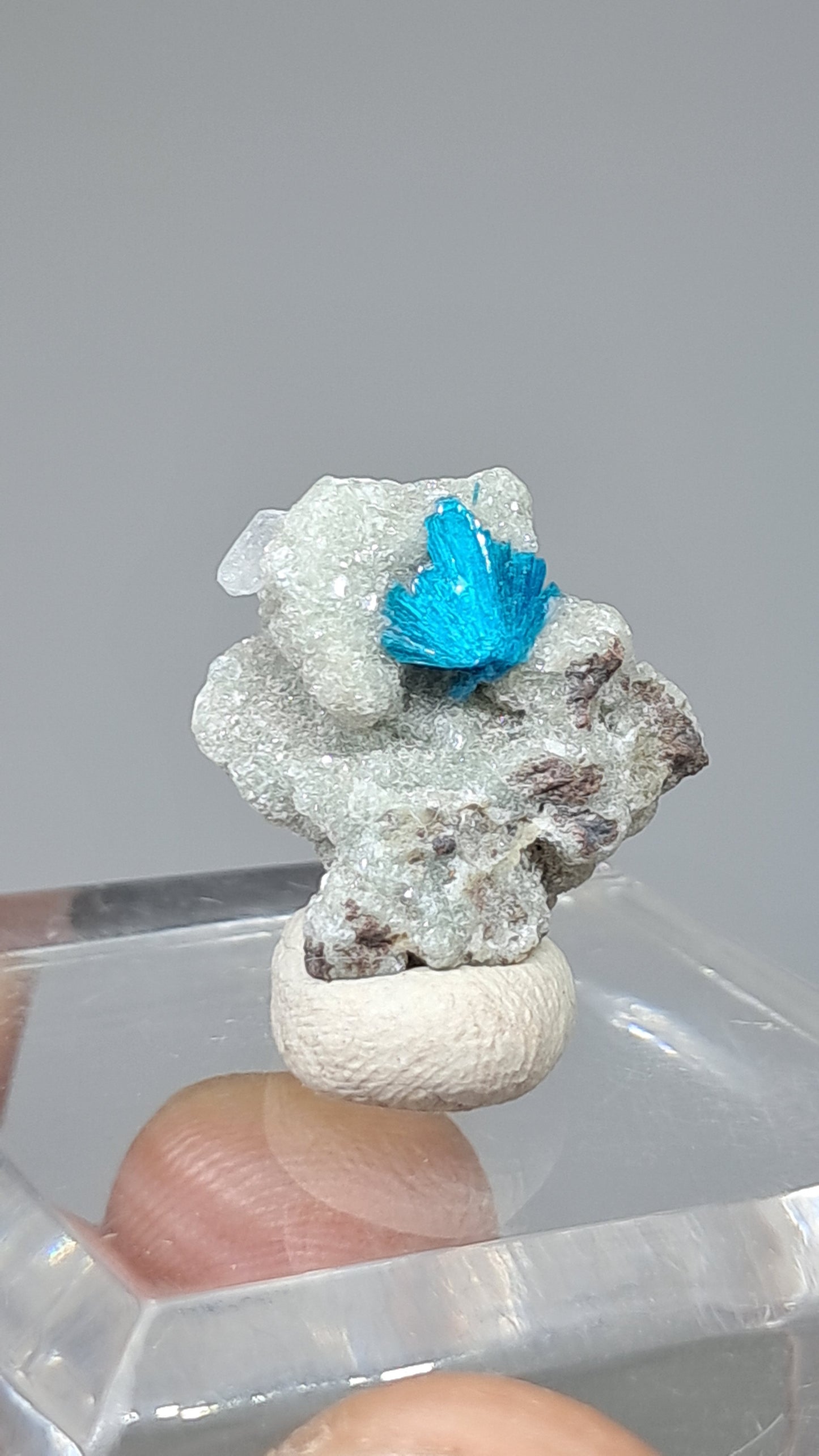 Cristal en bruto de Cavansita y Estilbita sobre matriz de Heulandita (Wagholi) | Piedra natural | Espécimen mineral raro #CV68