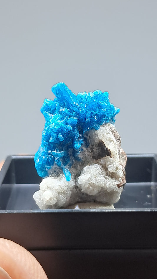 Pentagonite on Heulandite Matrix (Wagholi) Rough Crystal | Natural Stone | Rare Mineral Specimen #CV71