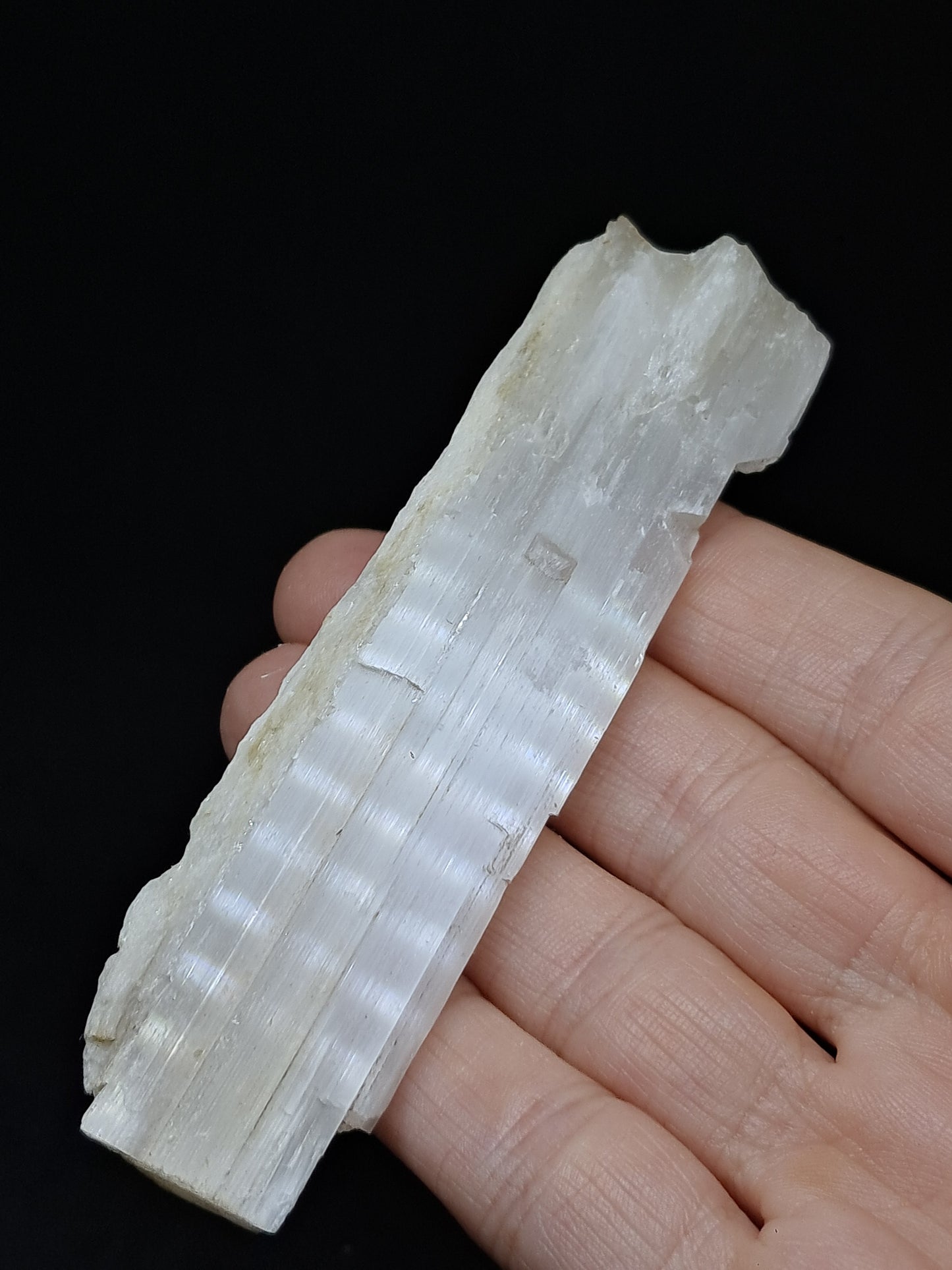 Satin Spar *Selenite* (India) Fibrous Gypsum | Mineral Specimen | Rough Crystal #SE2