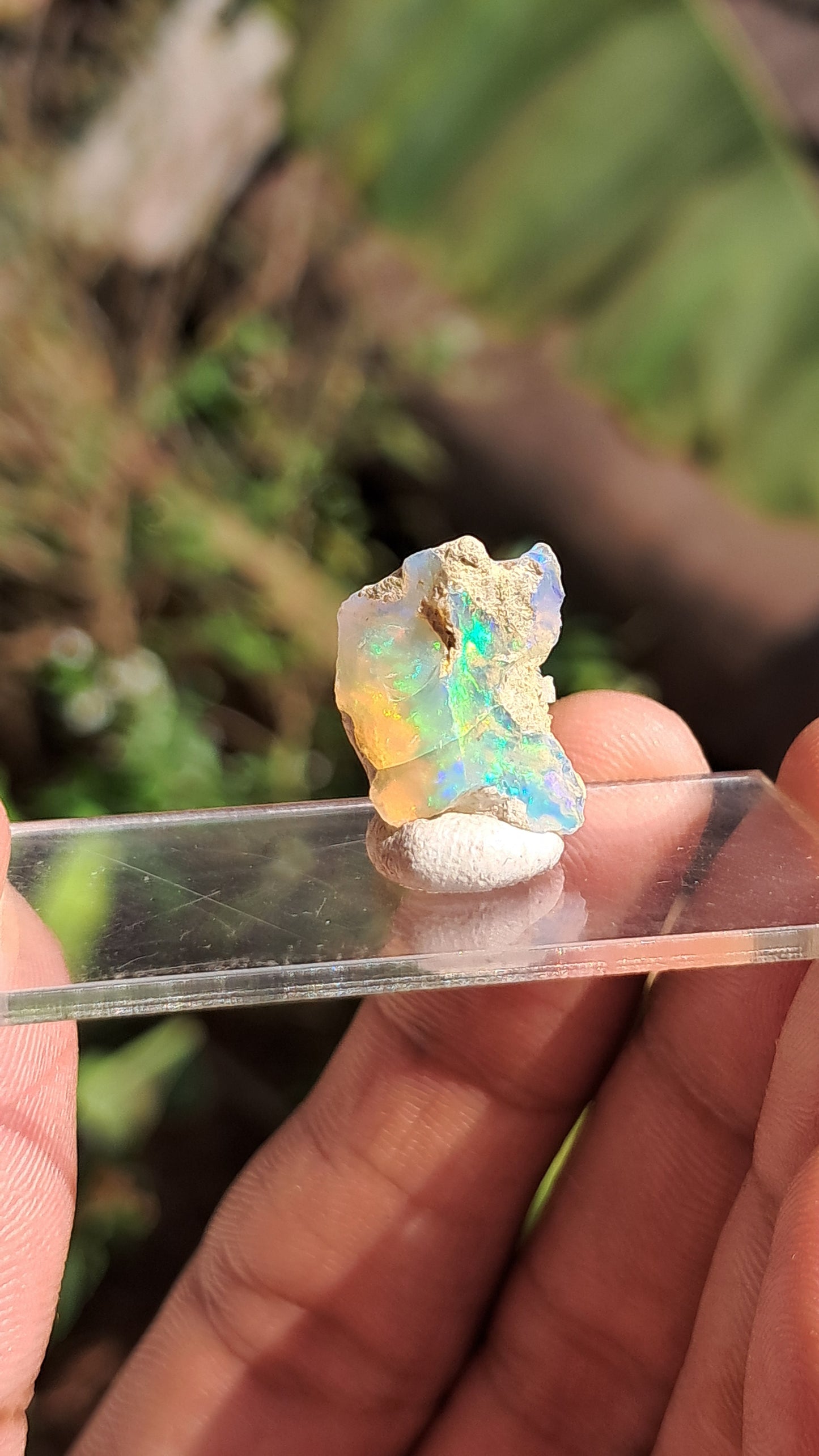 Natural Ethiopian Opal Rough | White Hydrophane Opal w/ Bright Play of Color #OP1