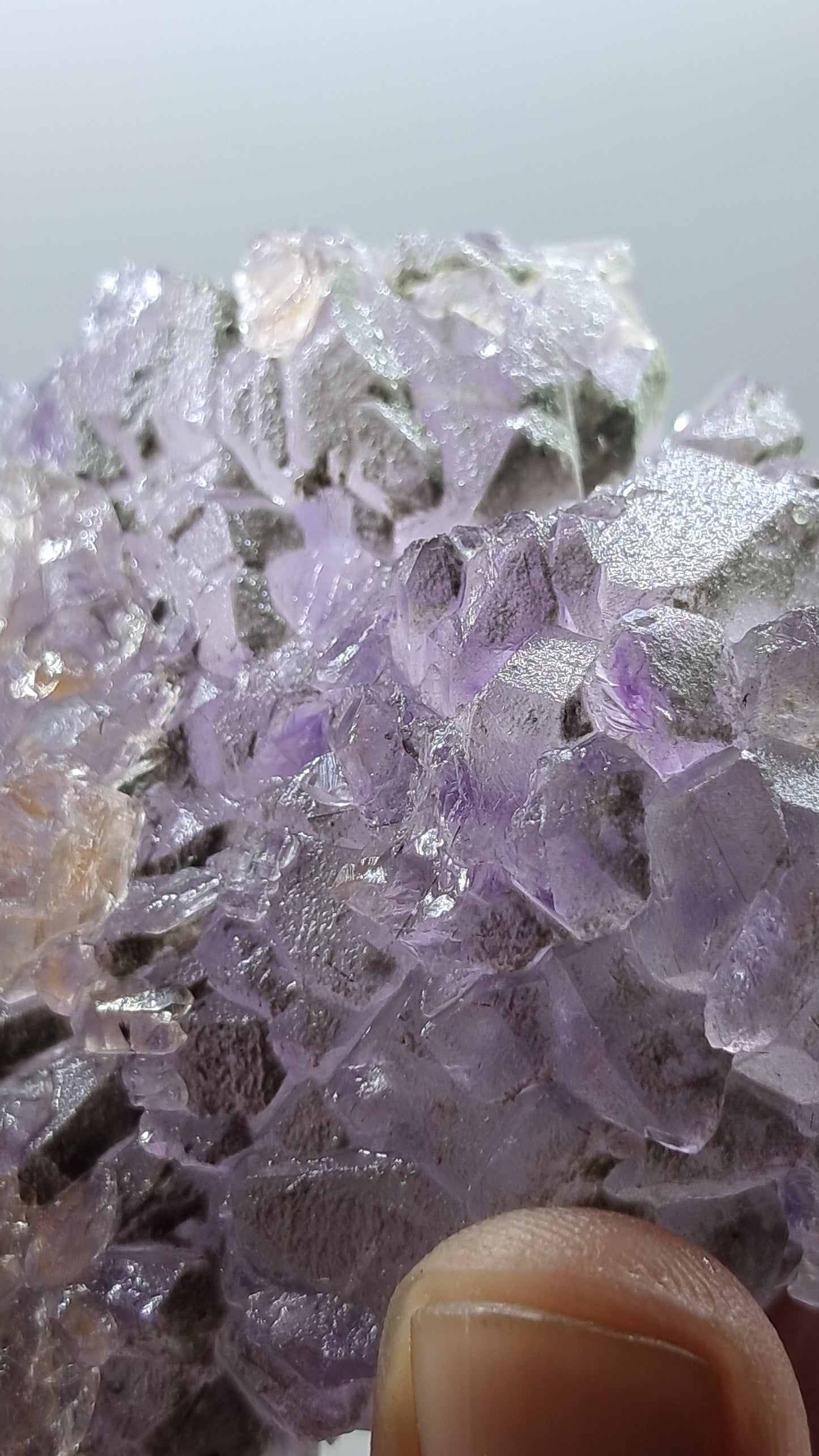 Flor de cetro de amatista de Karur | Formación natural | Ejemplar mineral n.° KA179