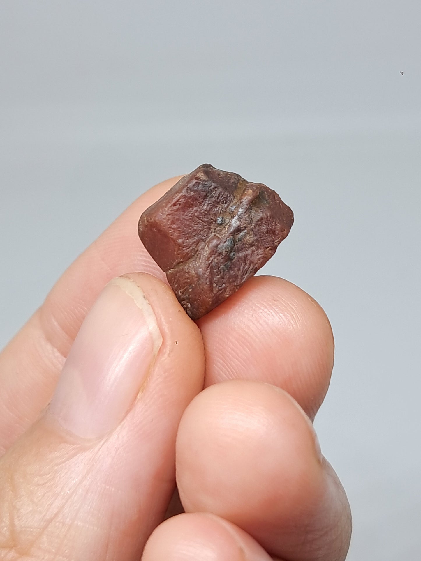 Rough Ruby Crystal w/ Record Keeper (Tamil Nadu) Natural Stone | Mineral Specimen #RB17
