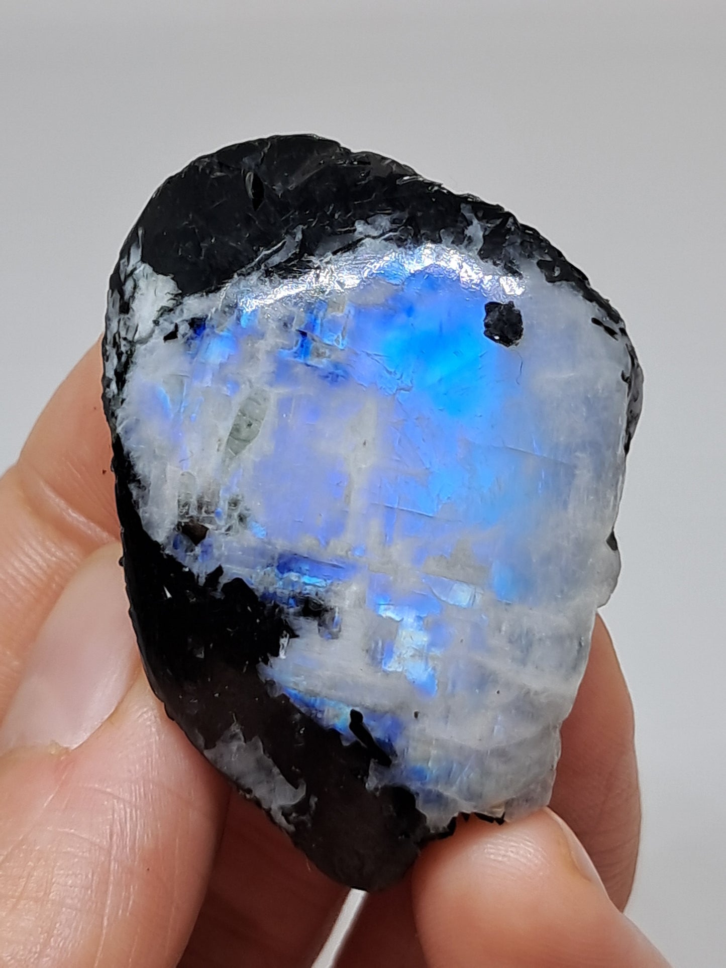 White Labradorite | Rainbow Moonstone *High Grade* (Tamil Nadu) Rough & Polished Stone | Natural Rock #MN23