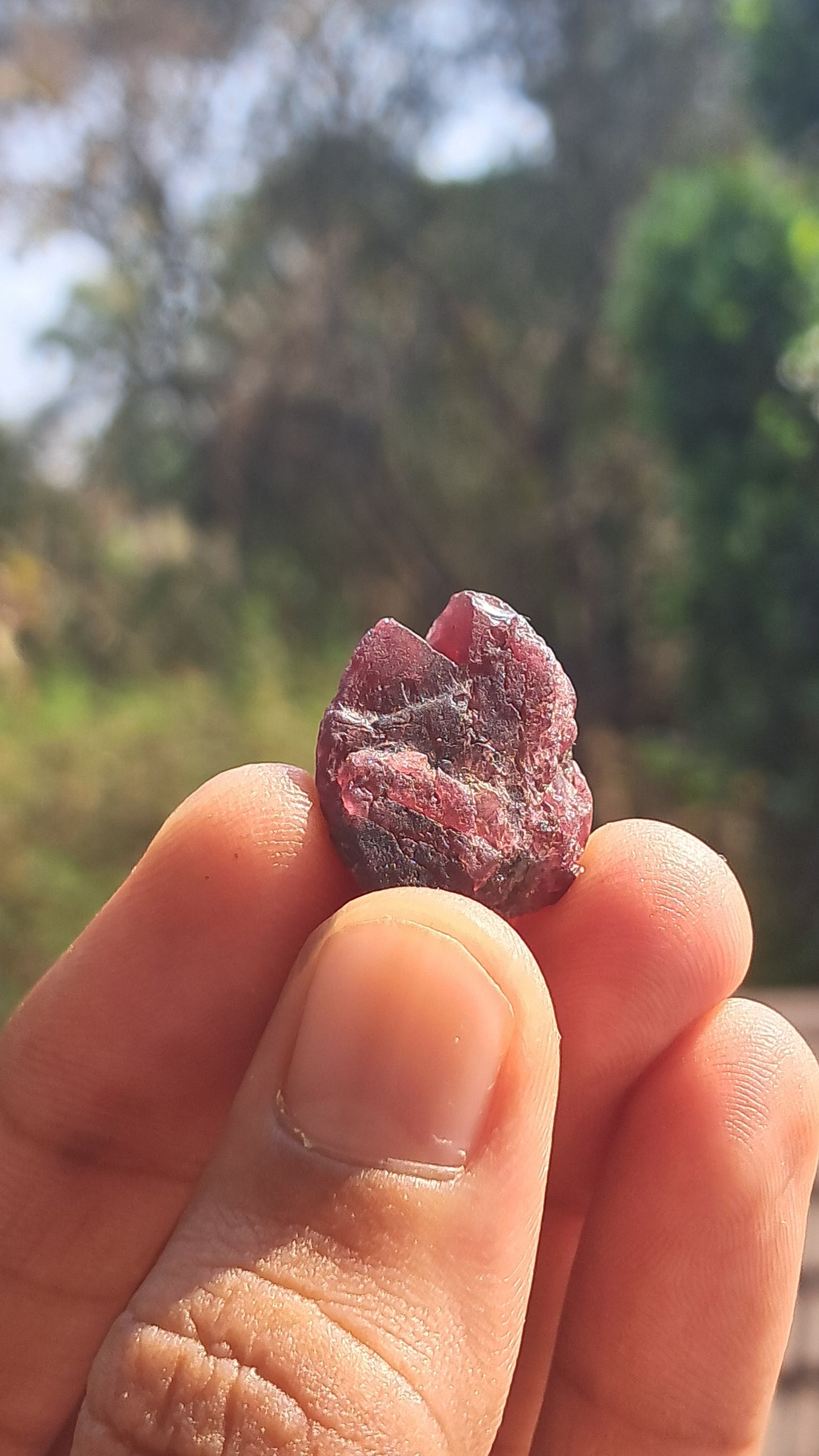 Granate rojo (Karur) | Pulido por el río | Piedra natural #RG10