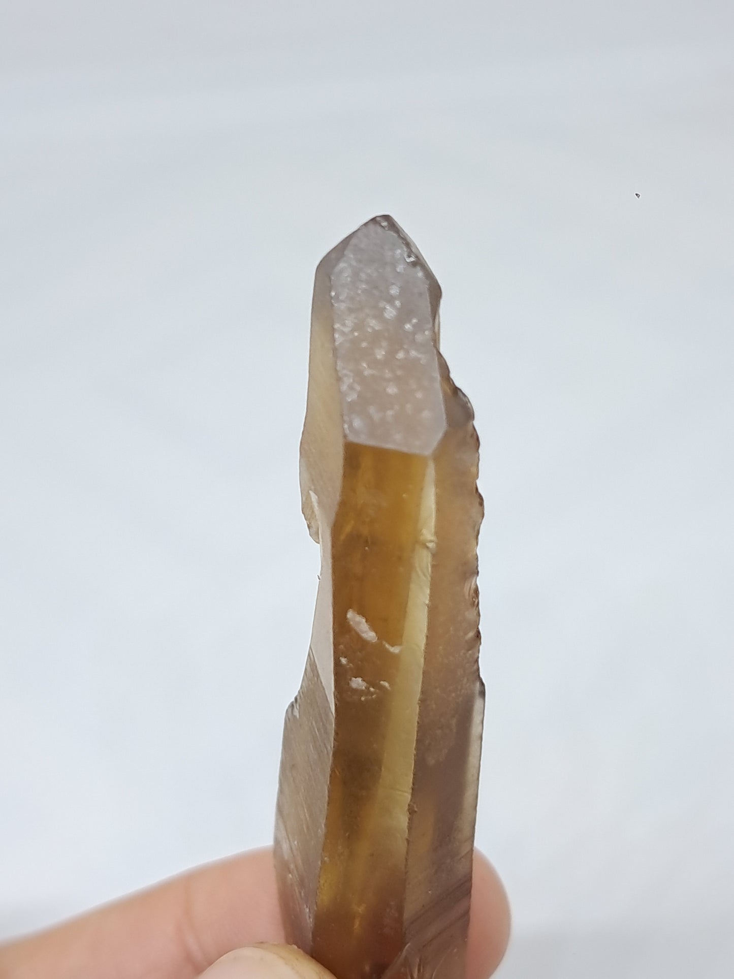 Natural Citrine Crystal (Democratic Republic of Congo) #CTN29