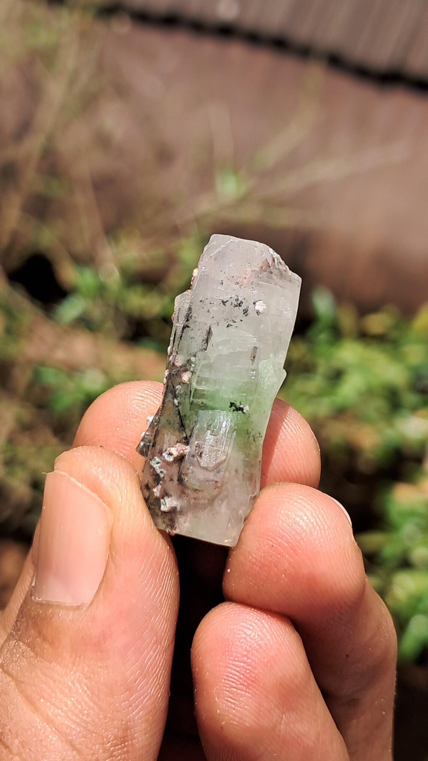 Green Apophyllite (Fluorapophyllite) (Ajanta) Natural Crystal | Mineral Specimen #GA26