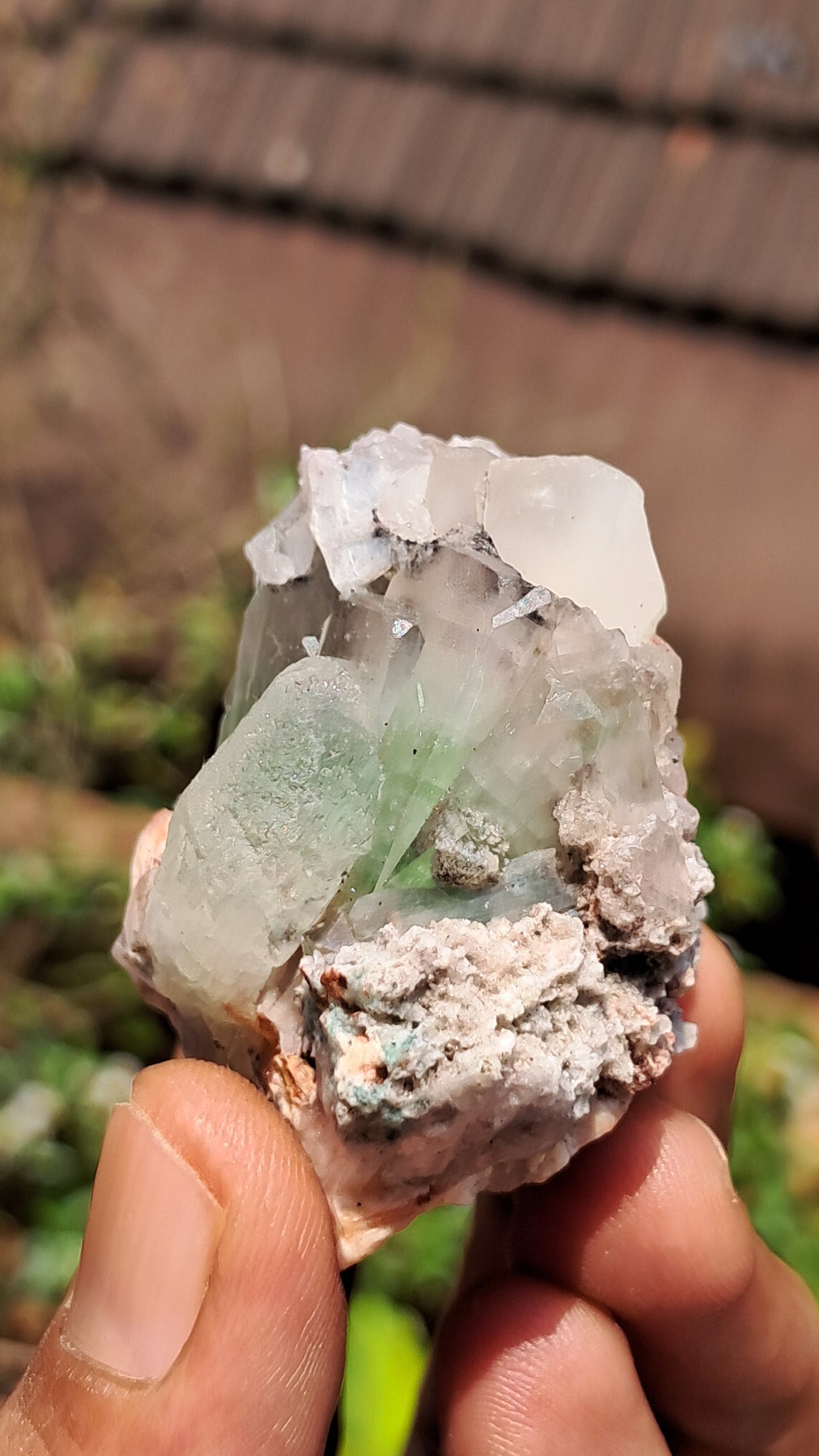 Apofilita Verde (Fluorapofilita) en Matriz (Ajanta) Cristal Natural | Muestra Mineral #GA24