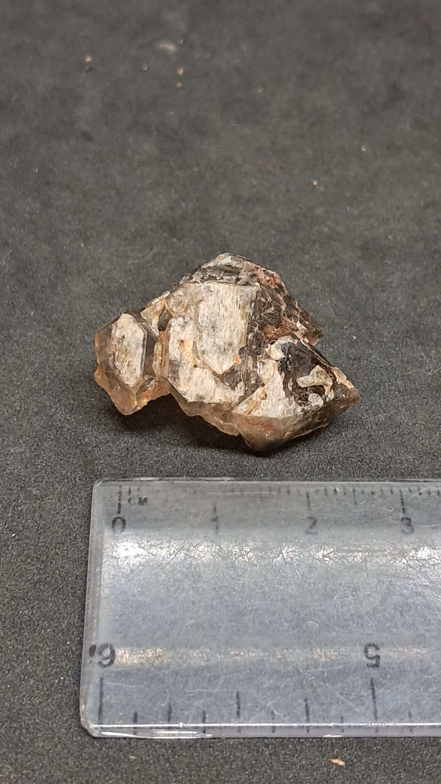 Elestial Smokey Quartz Scepter (Karur) Raw Natural Crystal | Mineral Specimen #EQ23