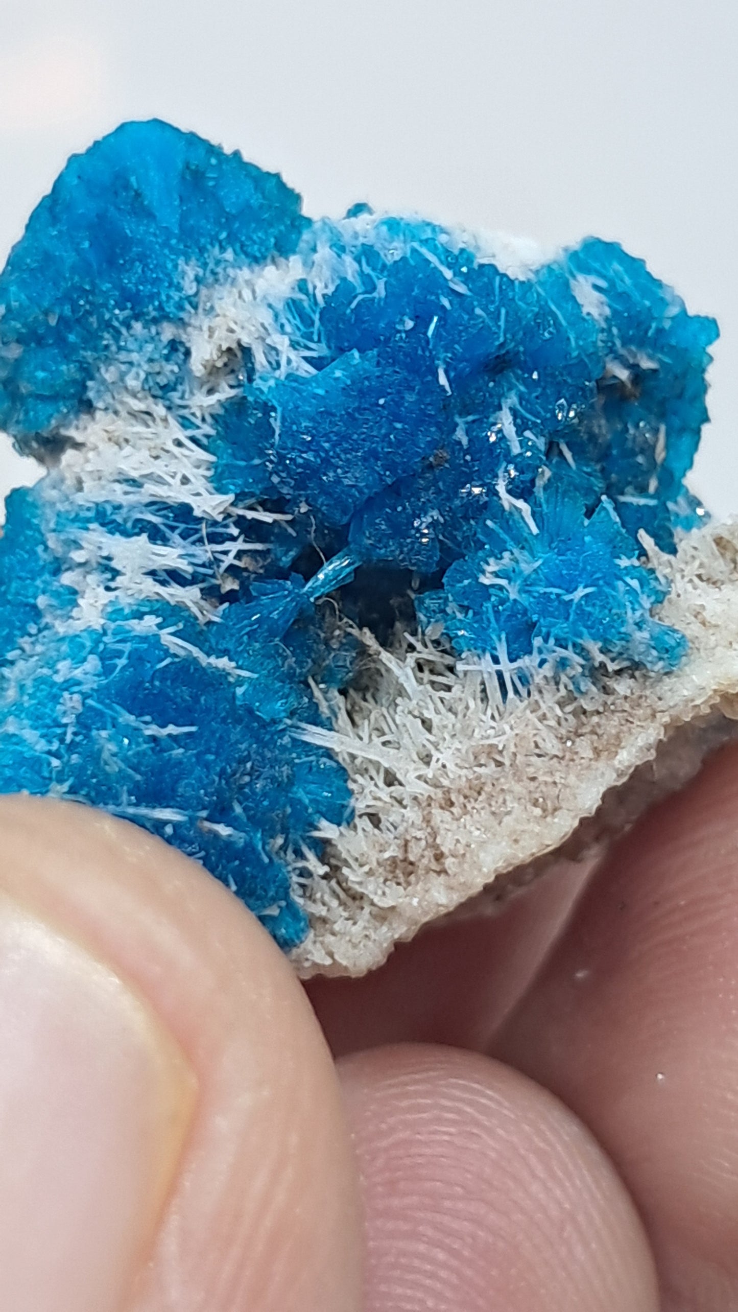 Perfect Cavansite Spheres on Fibrous Stilbite (Wagholi) Rough Stone | Natural Crystal | Rare Mineral Specimen #CV59