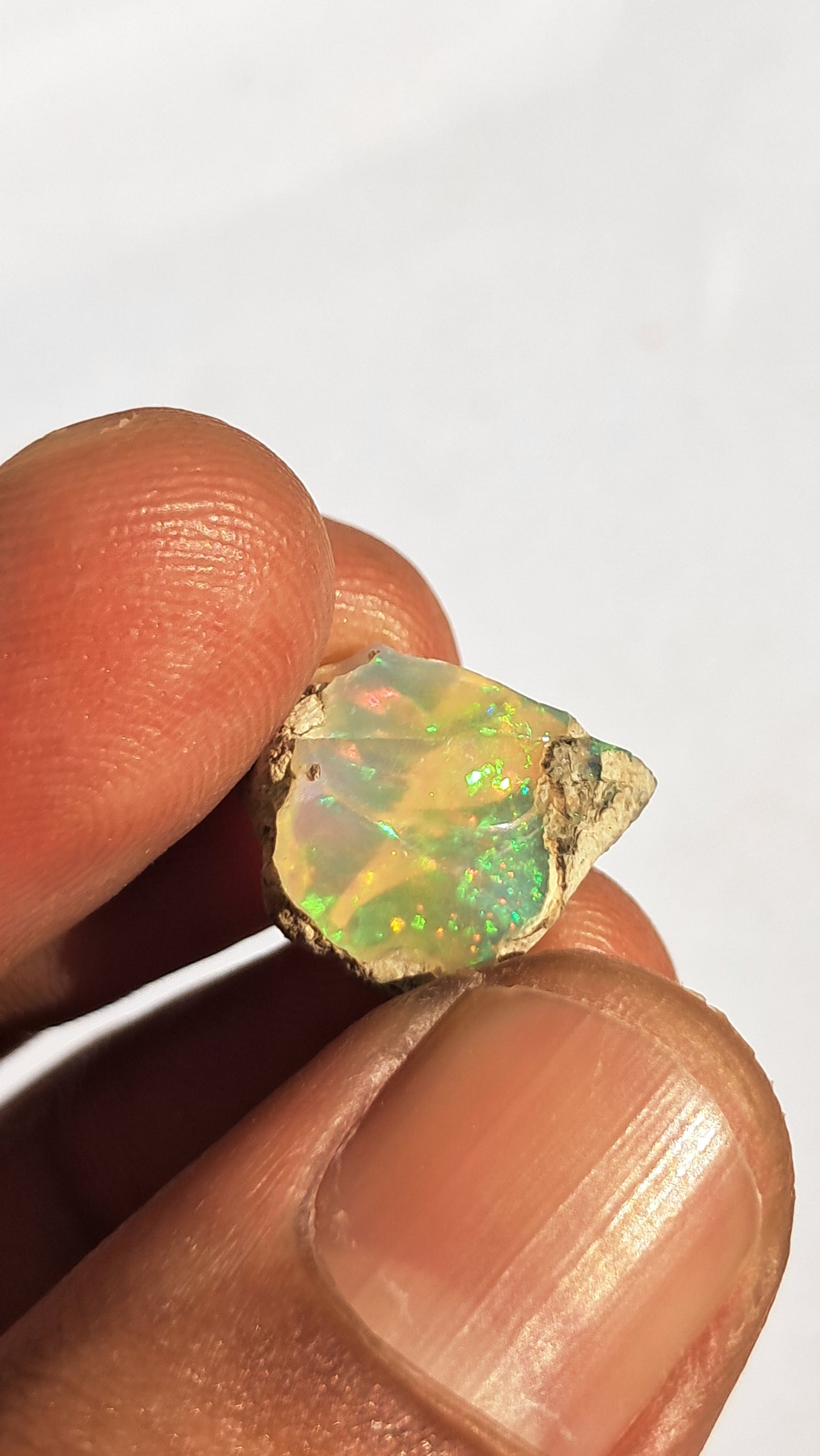 Natural Ethiopian Opal Rough | White Hydrophane Opal with Bright Play of Color #OP13