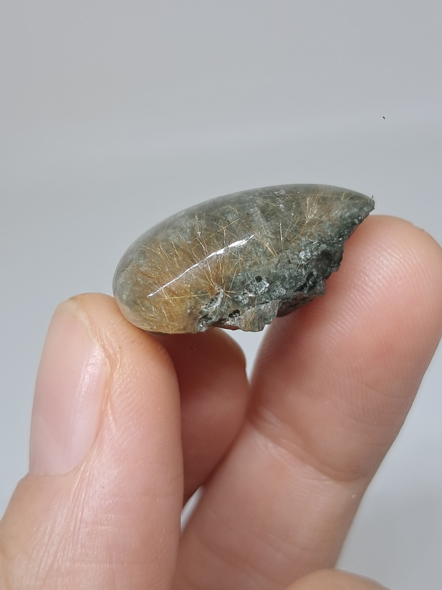 Chlorite Quartz w/ Golden Rutile (Kullu) Half Rough Half Polished | Natural Stone | Cabochon #CH51