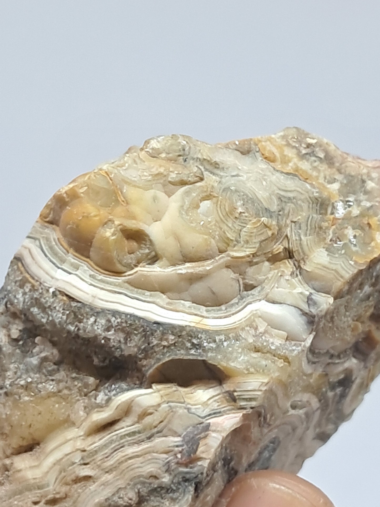 Crazy Lace Agate Rough | Natural Stone | Mineral Specimen #CLA1