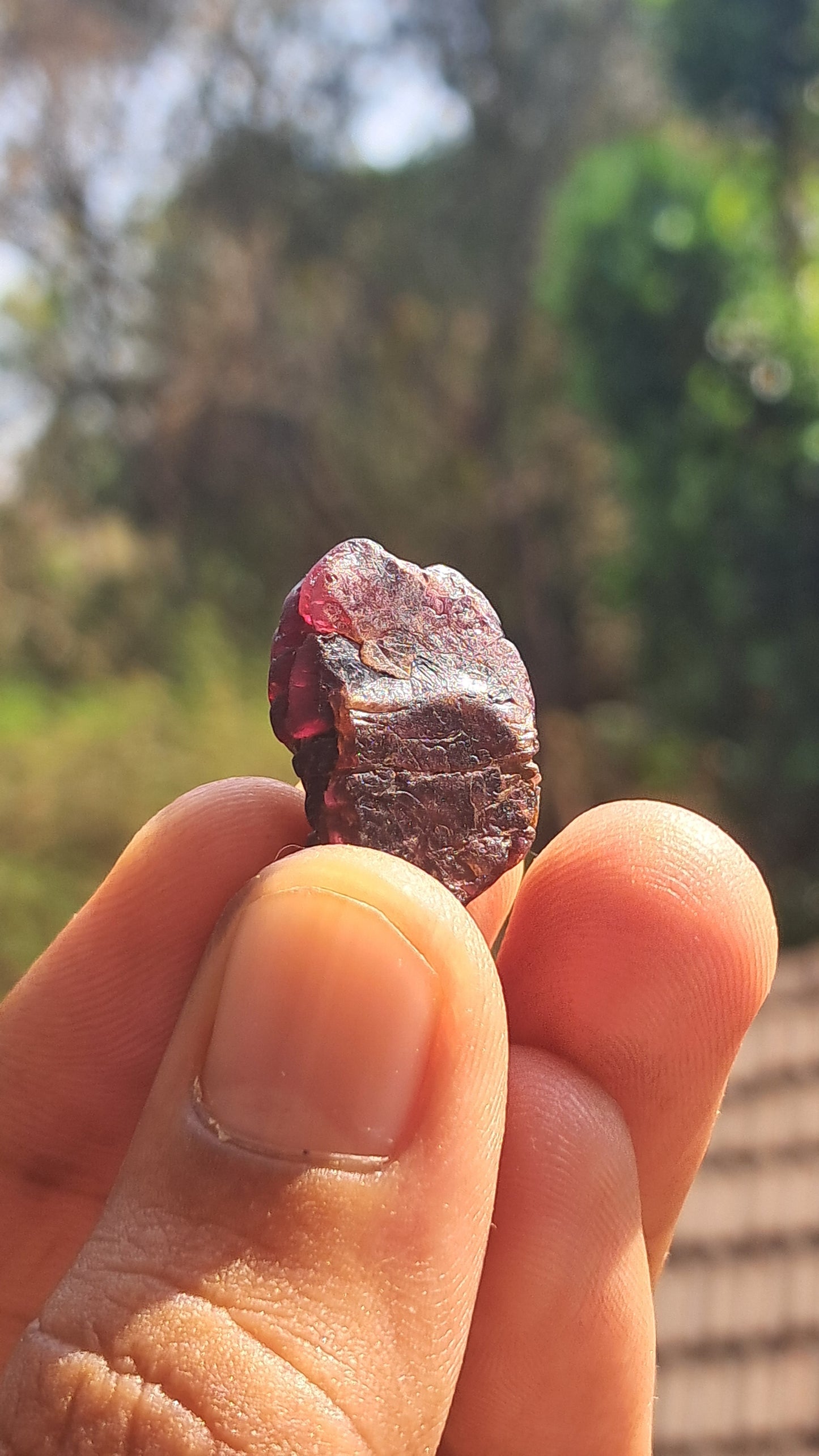 Granate rojo (Karur) | Pulido por el río | Piedra natural #RG9