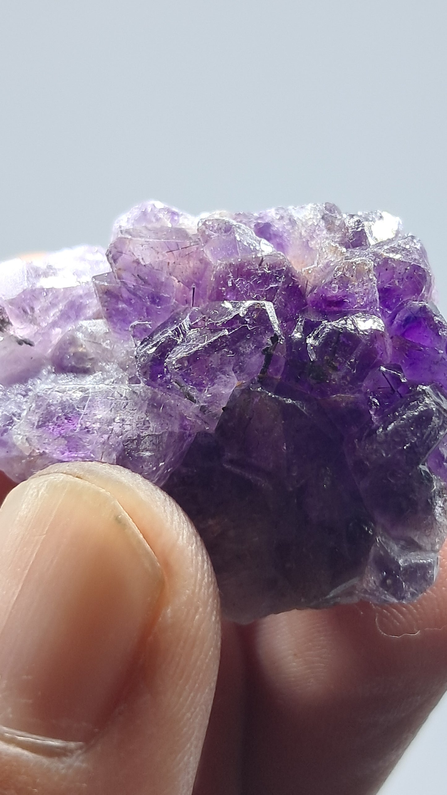 Amatista Elestial Morada Oscura | Inclusiones de Hematita Goethita Rutilo | Cristal Natural | Espécimen Mineral #KA201