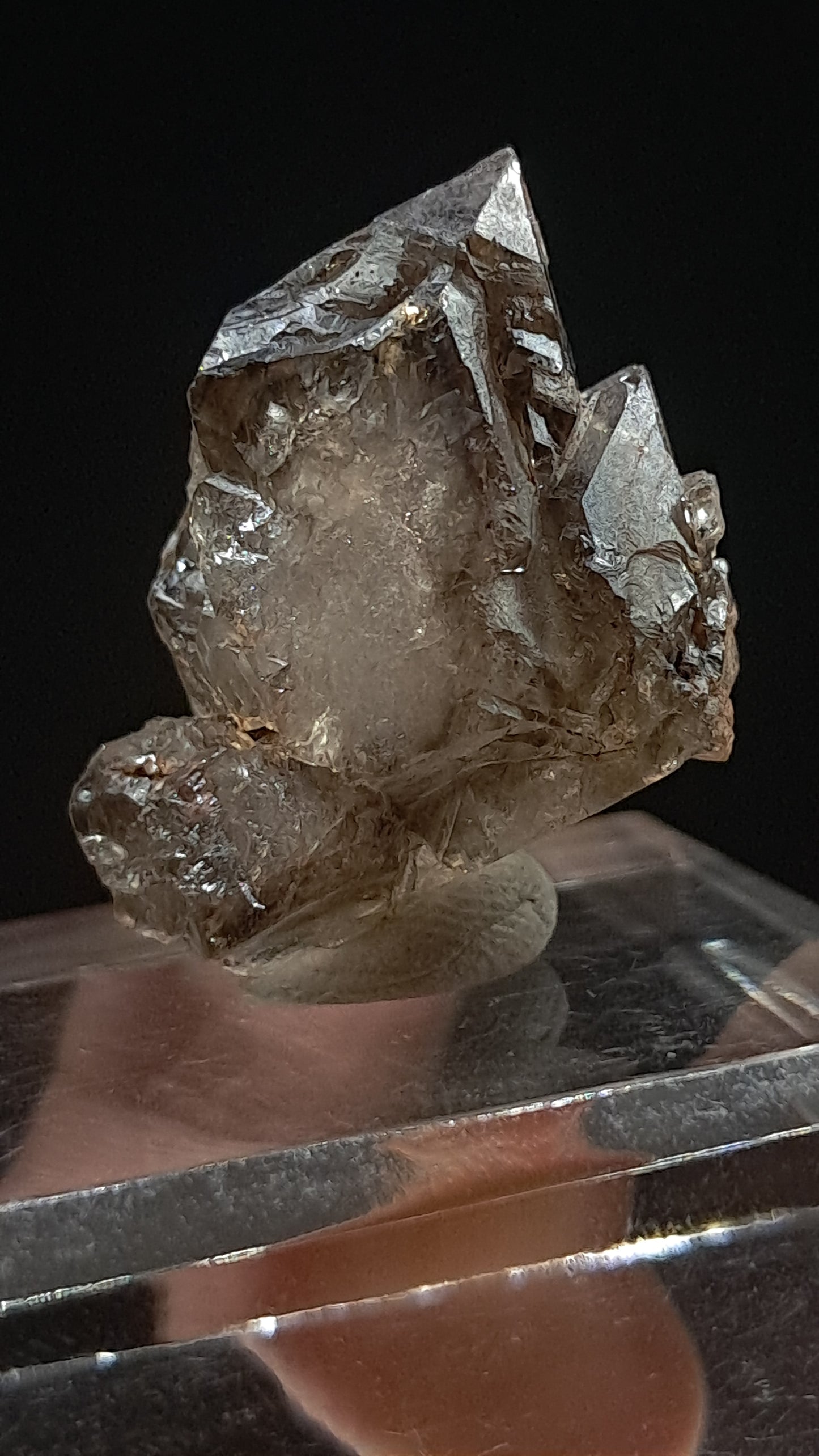 Elestial Smokey Quartz Scepter (Karur) Raw Natural Crystal | Mineral Specimen #EQ23