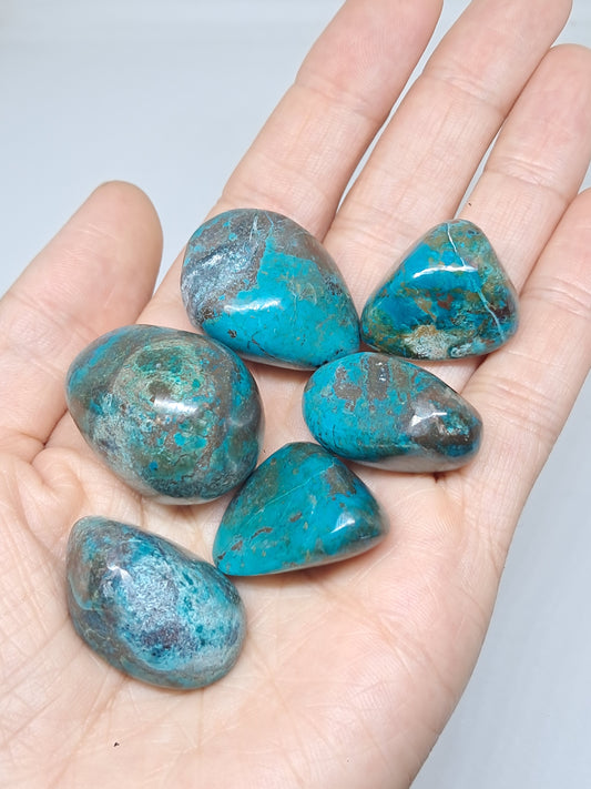 Chrysocolla Tumbled Stone | Polished Free Form | Natural Stone | Good Quality #CM1