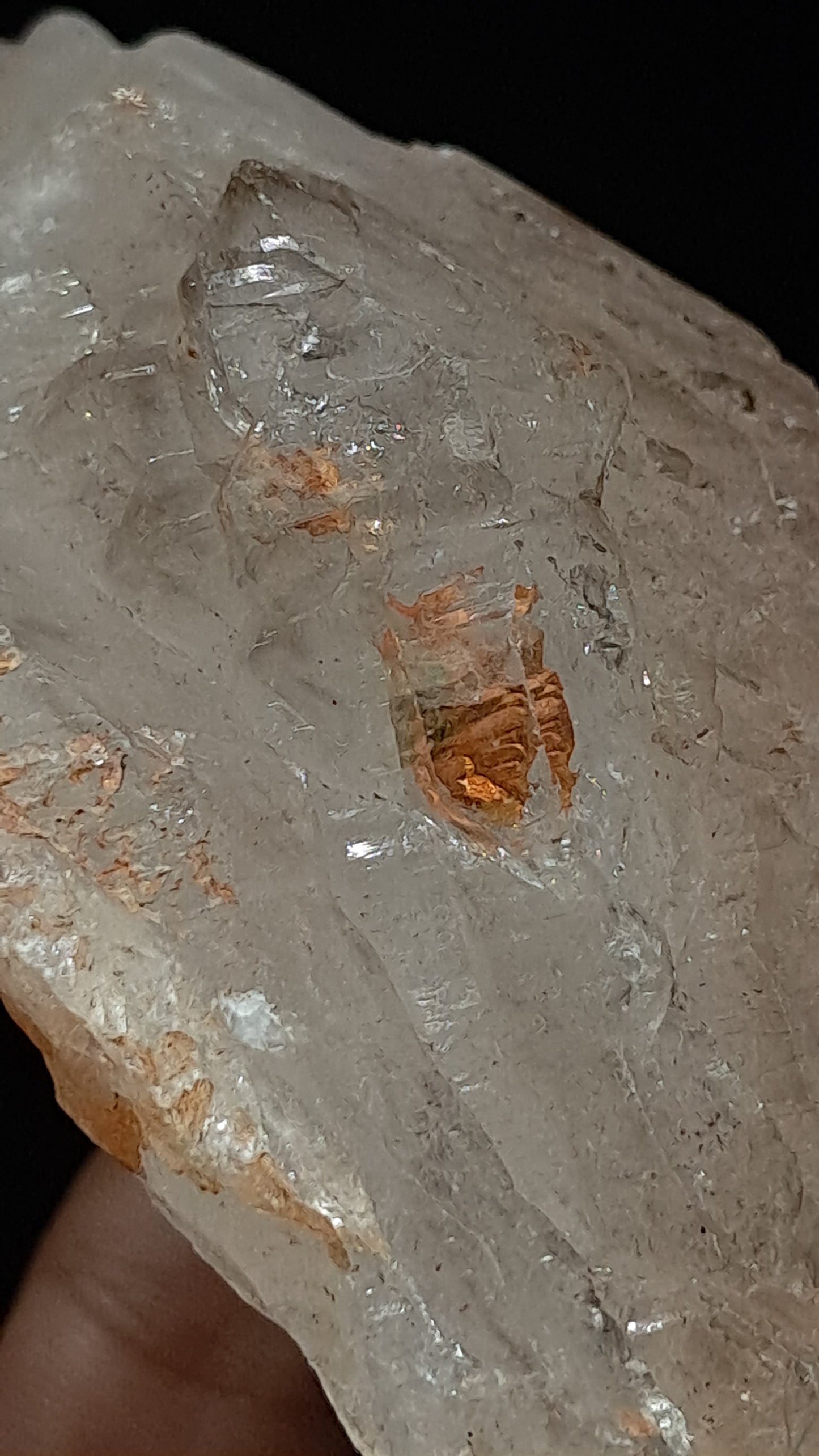 Elestial Smokey Quartz (Karur) Raw Natural Crystal Stone | Mineral Specimen #EQ14