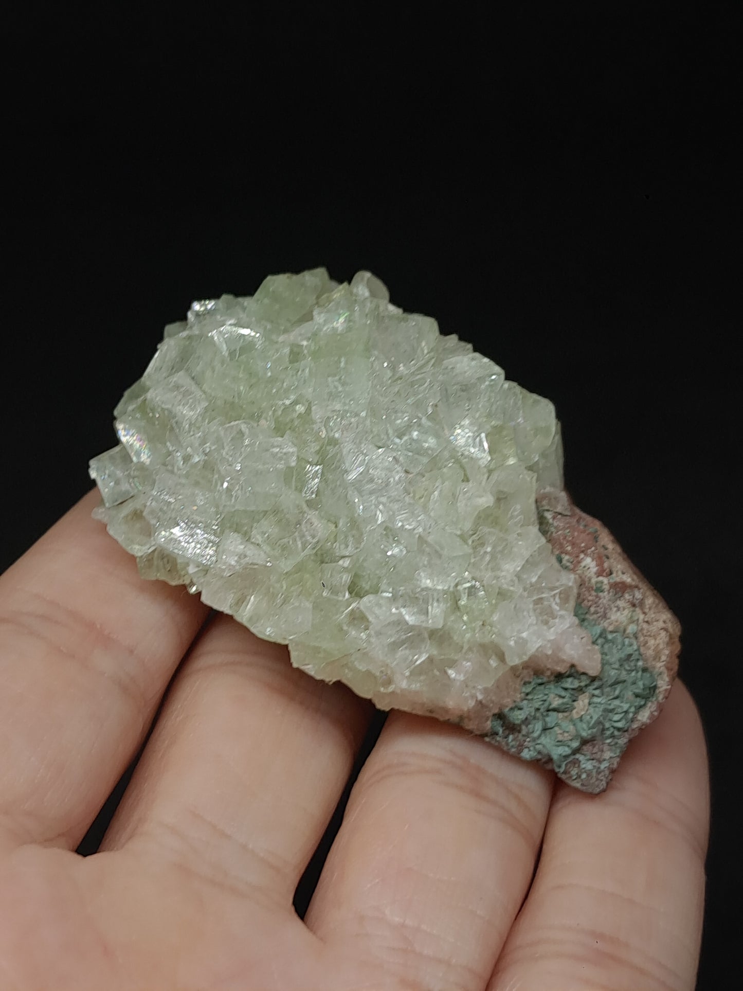 Green Apophyllite Cluster (Fluorapophyllite) (Ajanta) Rough Natural Crystal | Mineral Specimens #GA59