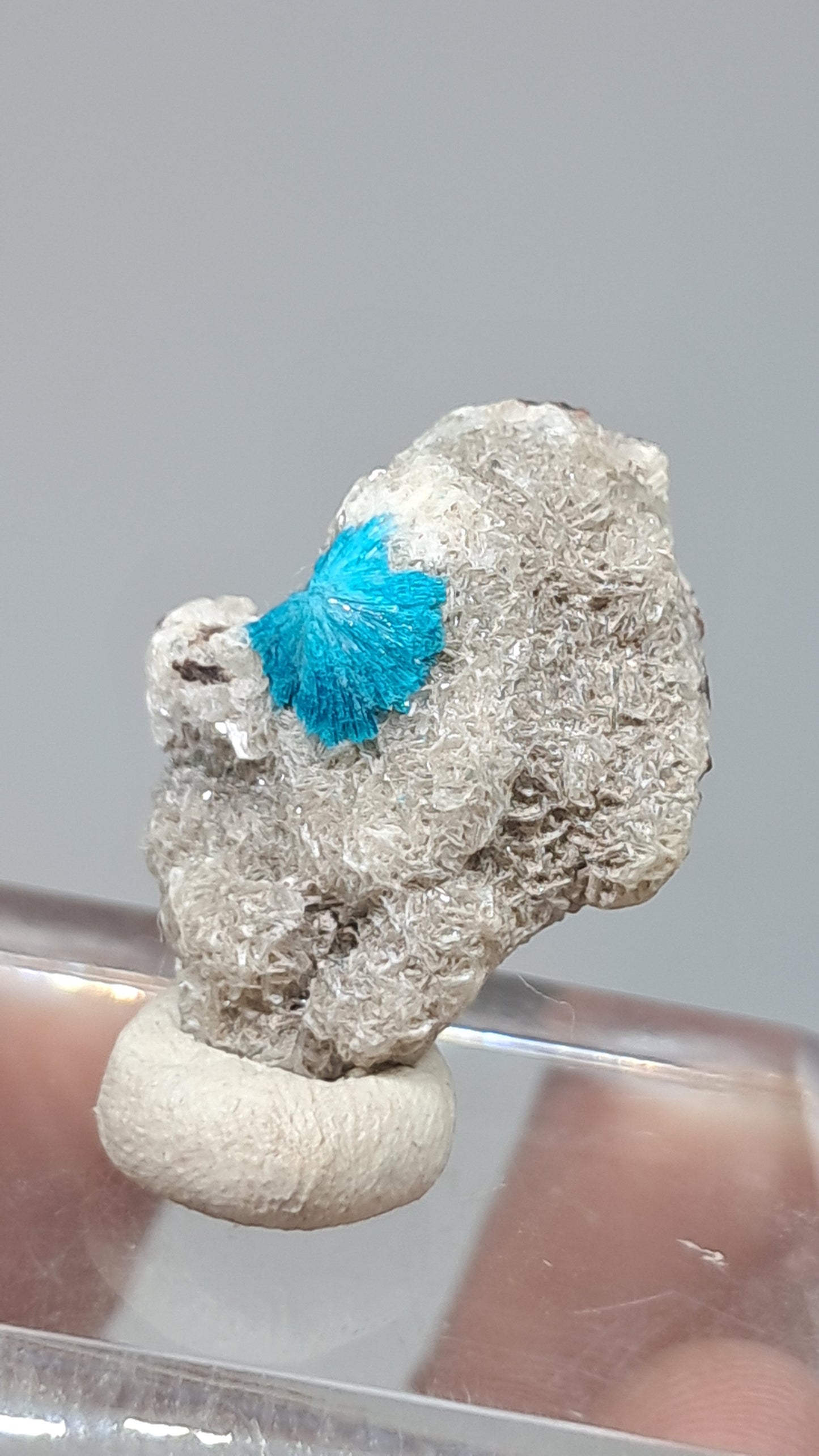 Cavansita en Matriz de Heulandita (Wagholi) Cristal en Bruto | Piedra Natural | Raro Espécimen Mineral #CV69