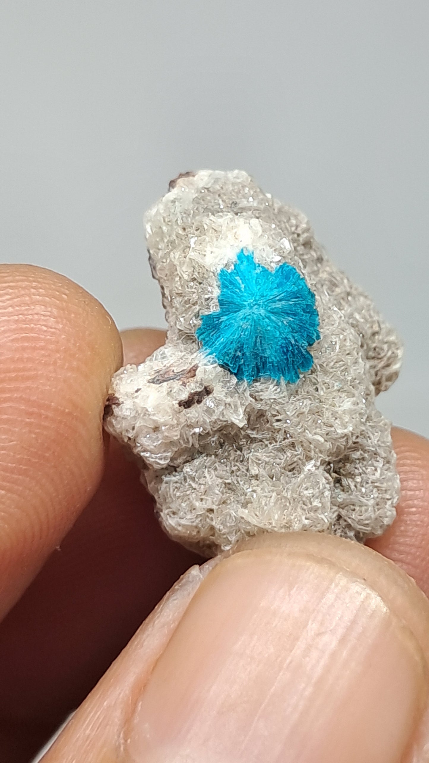 Cavansita en Matriz de Heulandita (Wagholi) Cristal en Bruto | Piedra Natural | Raro Espécimen Mineral #CV69