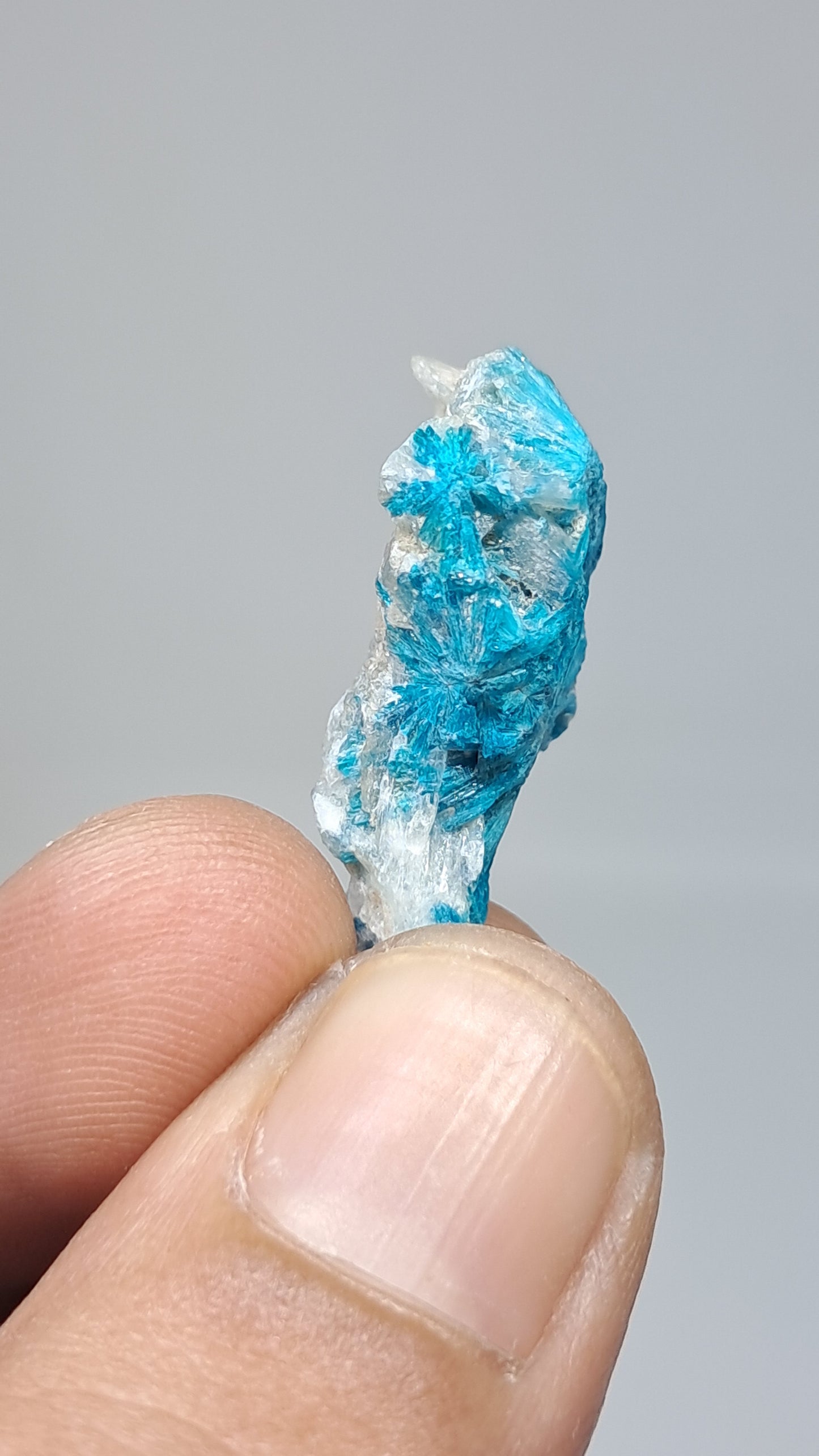 Flores de cavansita sobre matriz de estilbita (Wagholi) Cristal en bruto | Piedra natural | Ejemplar de mineral raro #CV63