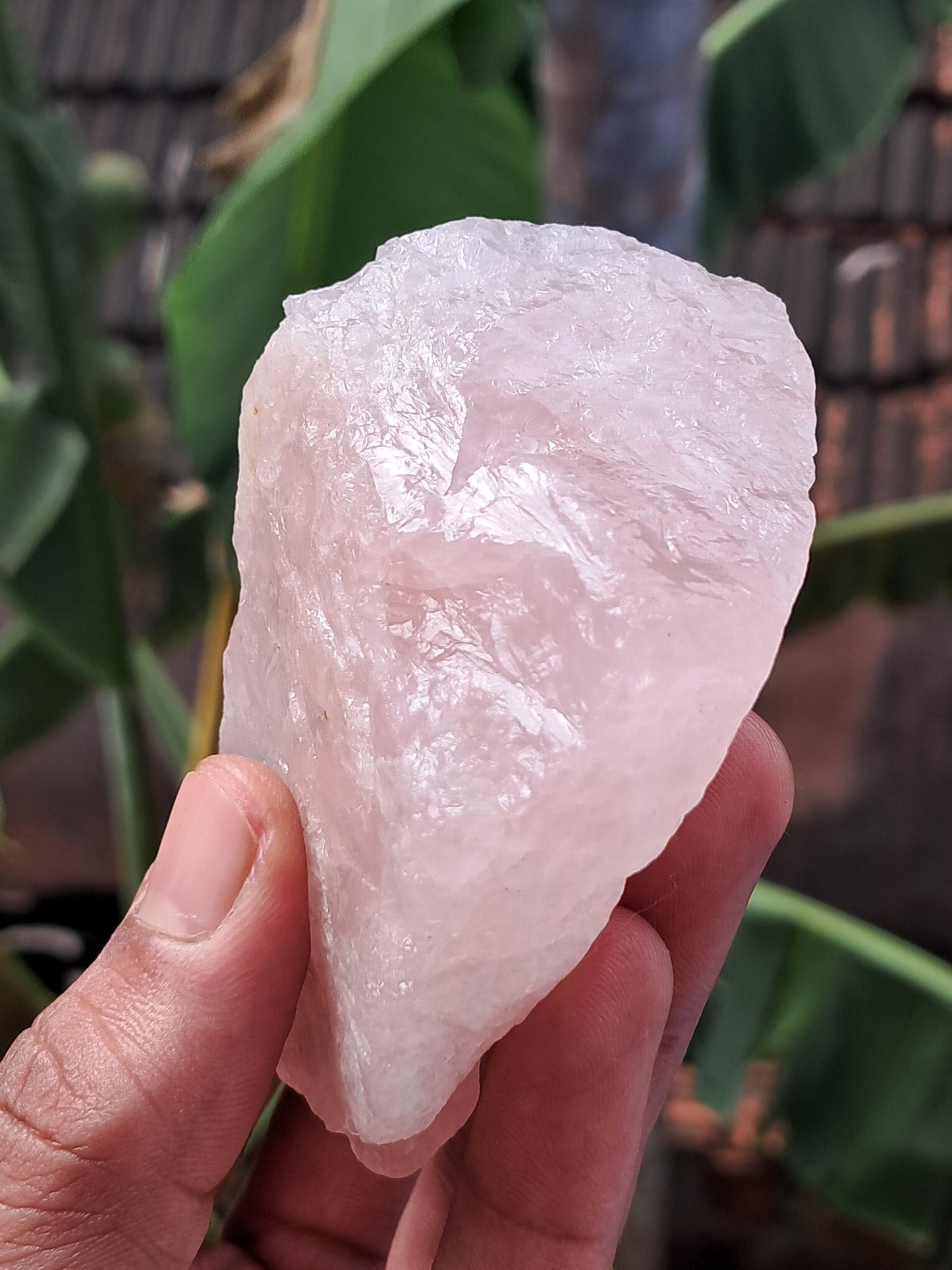 Rose Quartz (Rajasthan) Rough Stone | Natural Gemstone #RQ8
