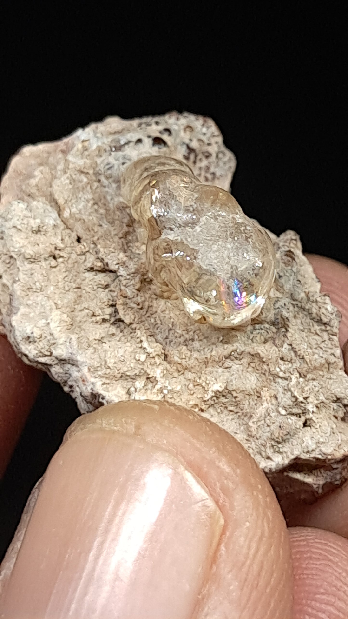 Hyalite Opal on Matrix (Mexico) Rough Crystal Stone | UV-Reactive Mineral Specimen #OH5