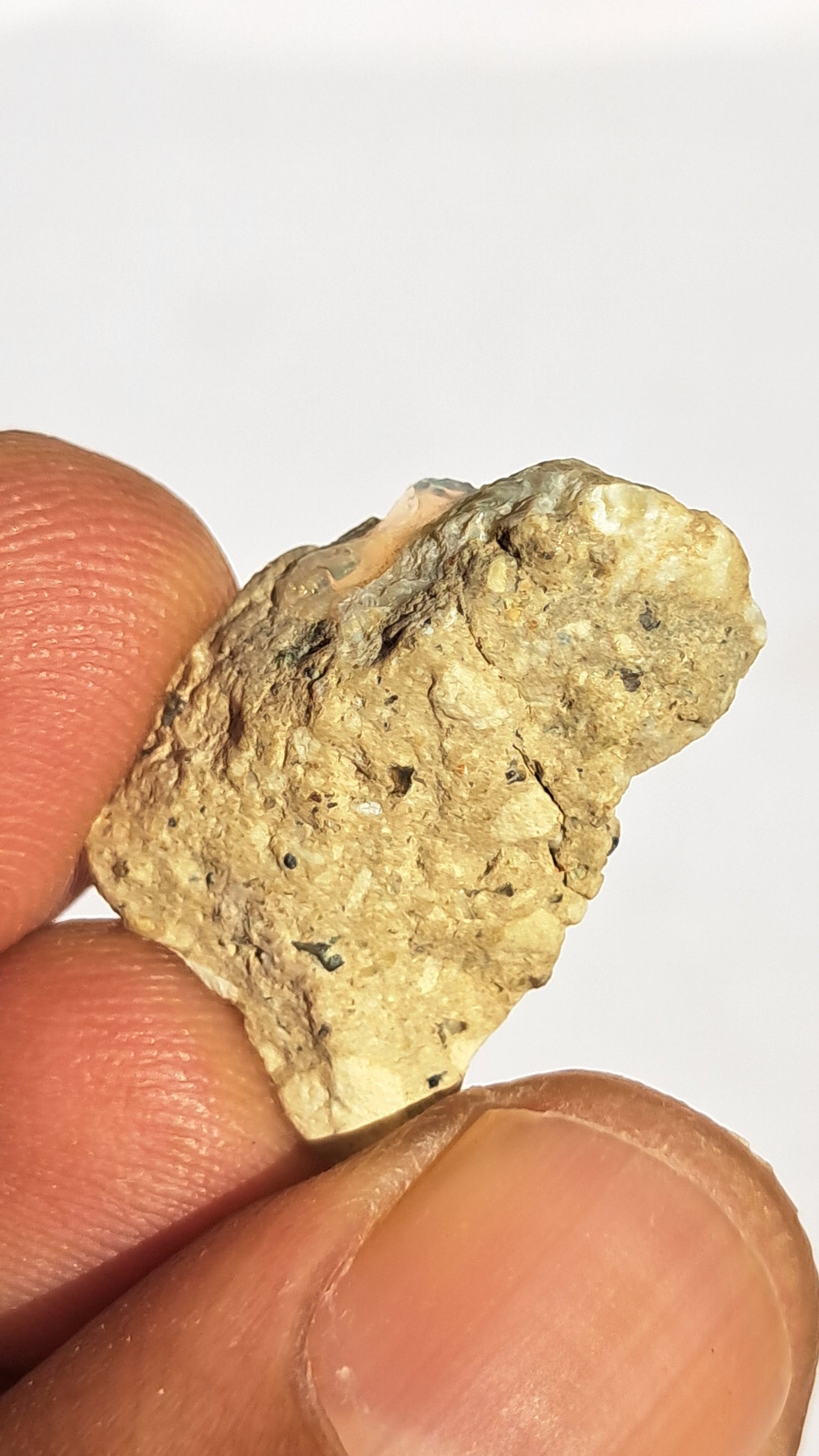 Natural Ethiopian Opal Rough | White Hydrophane Opal w/ Bright Play of Color #OP2