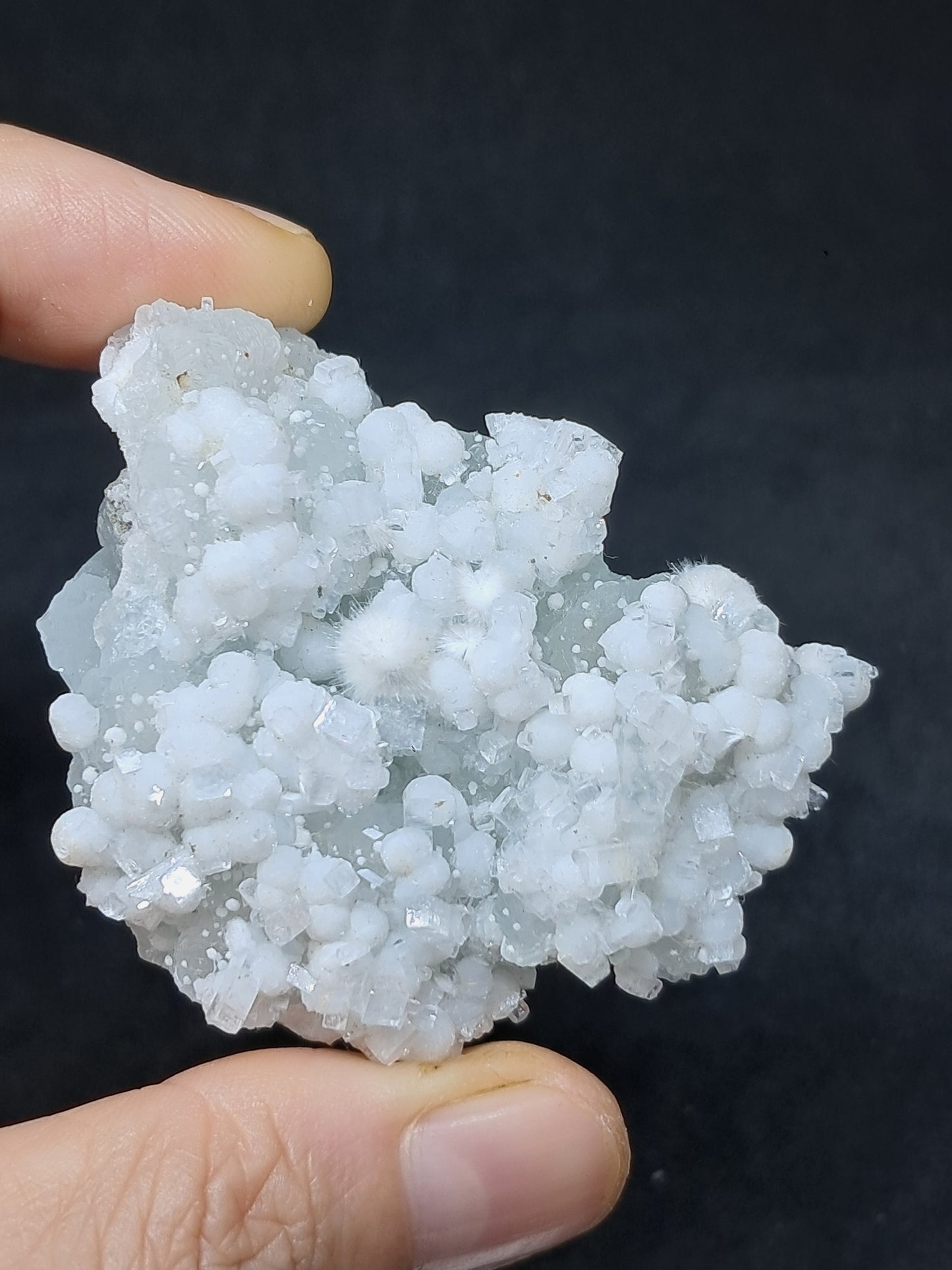 Okenite w/ Gyrolite and Apophyllite on Prehenite Matrix (Mumbai) Mineral Specimen | Collector Grade | Natural Crystal #OK23