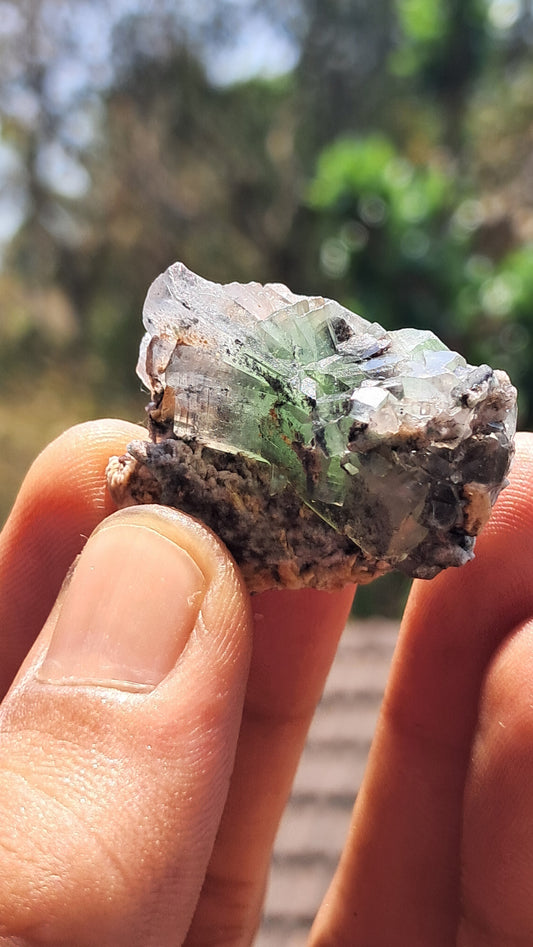 Green Apophyllite (Fluorapophyllite) (Ajanta) Natural Crystal | Mineral Specimen #GA29